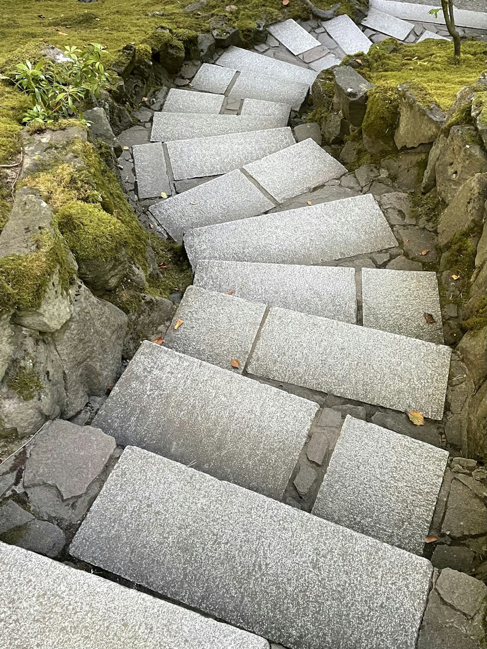 a set of stone steps with moss growing on them