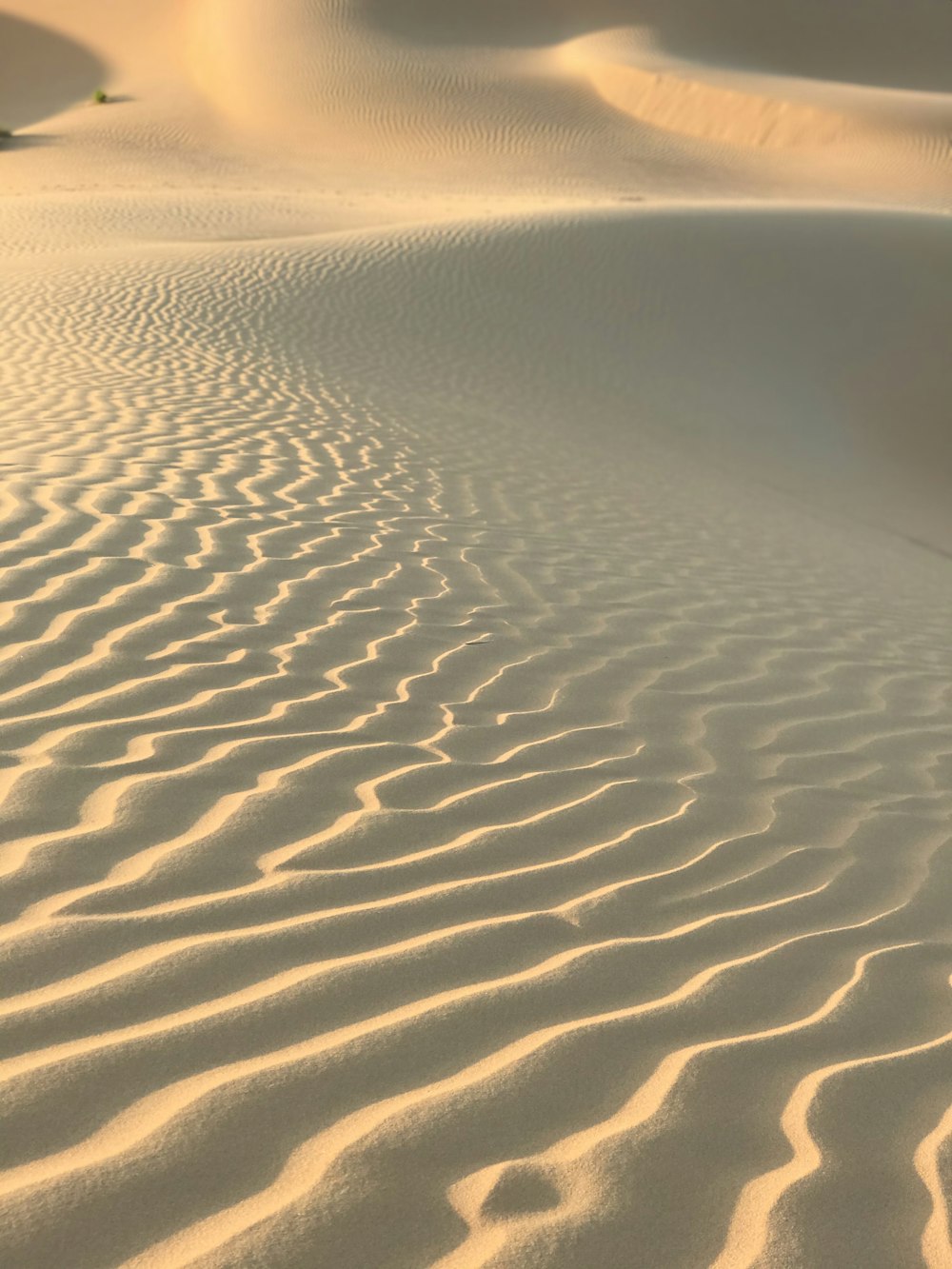 a sandy area with a lot of sand dunes