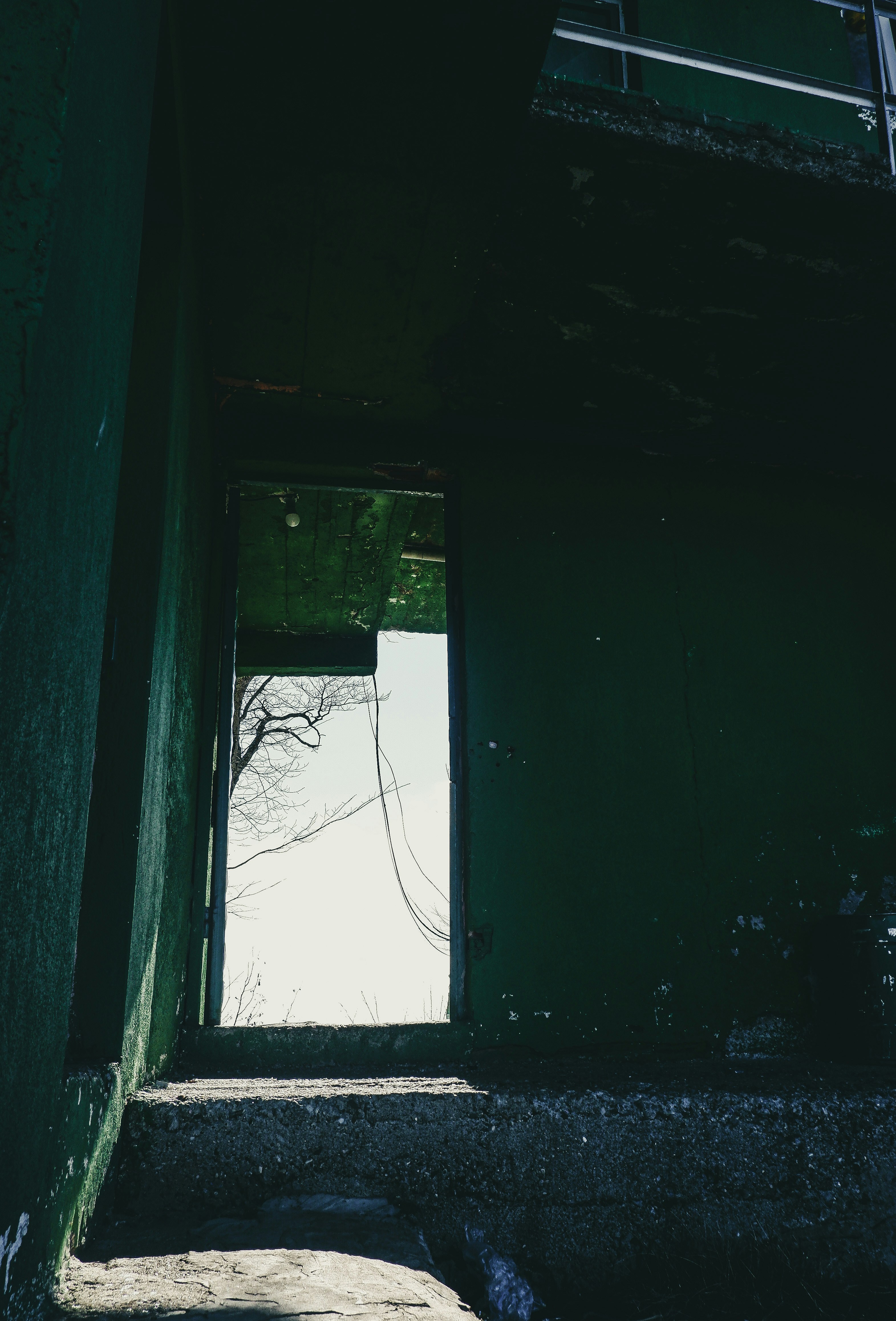 Photo by burakdonertas