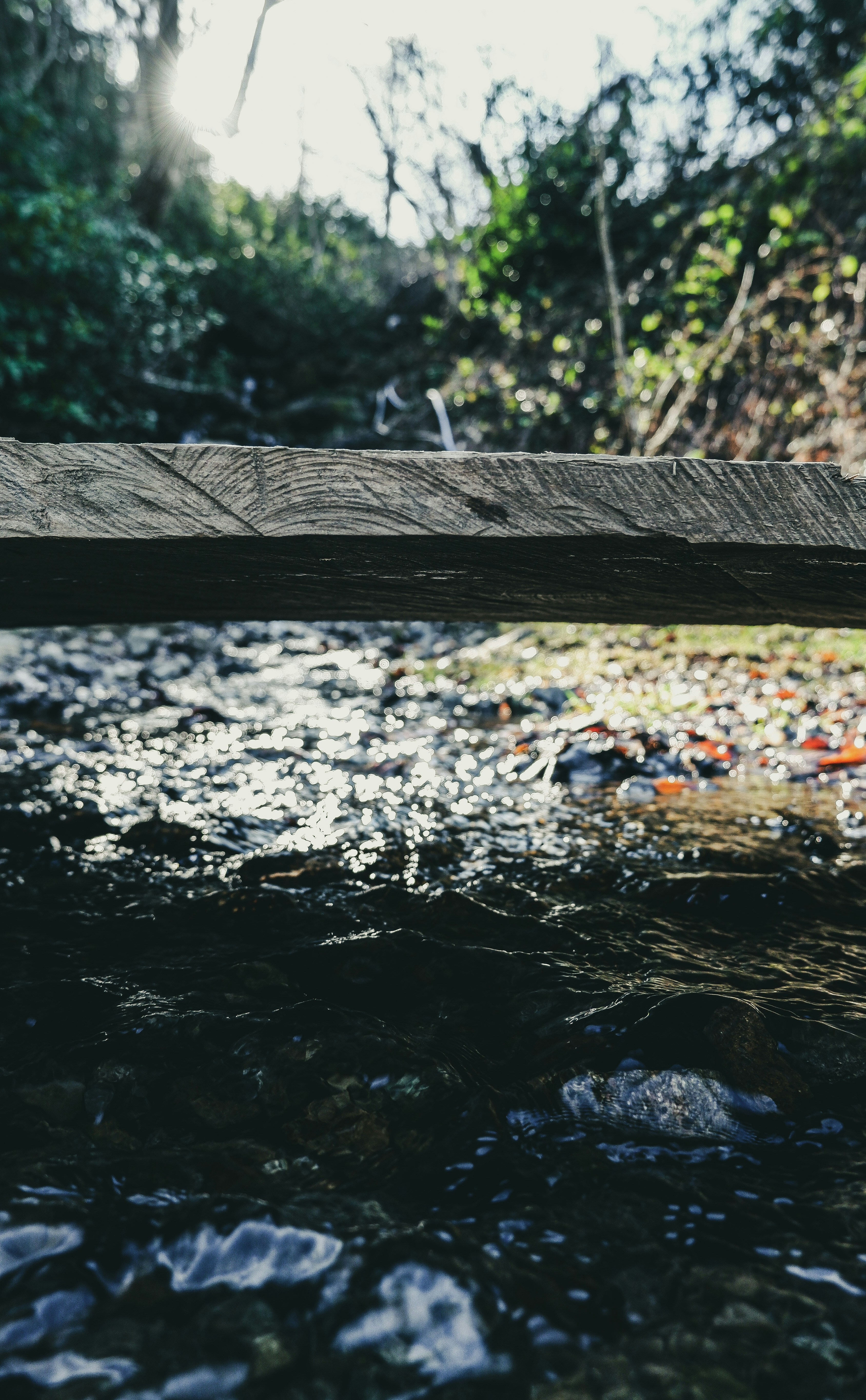 Photo by burakdonertas