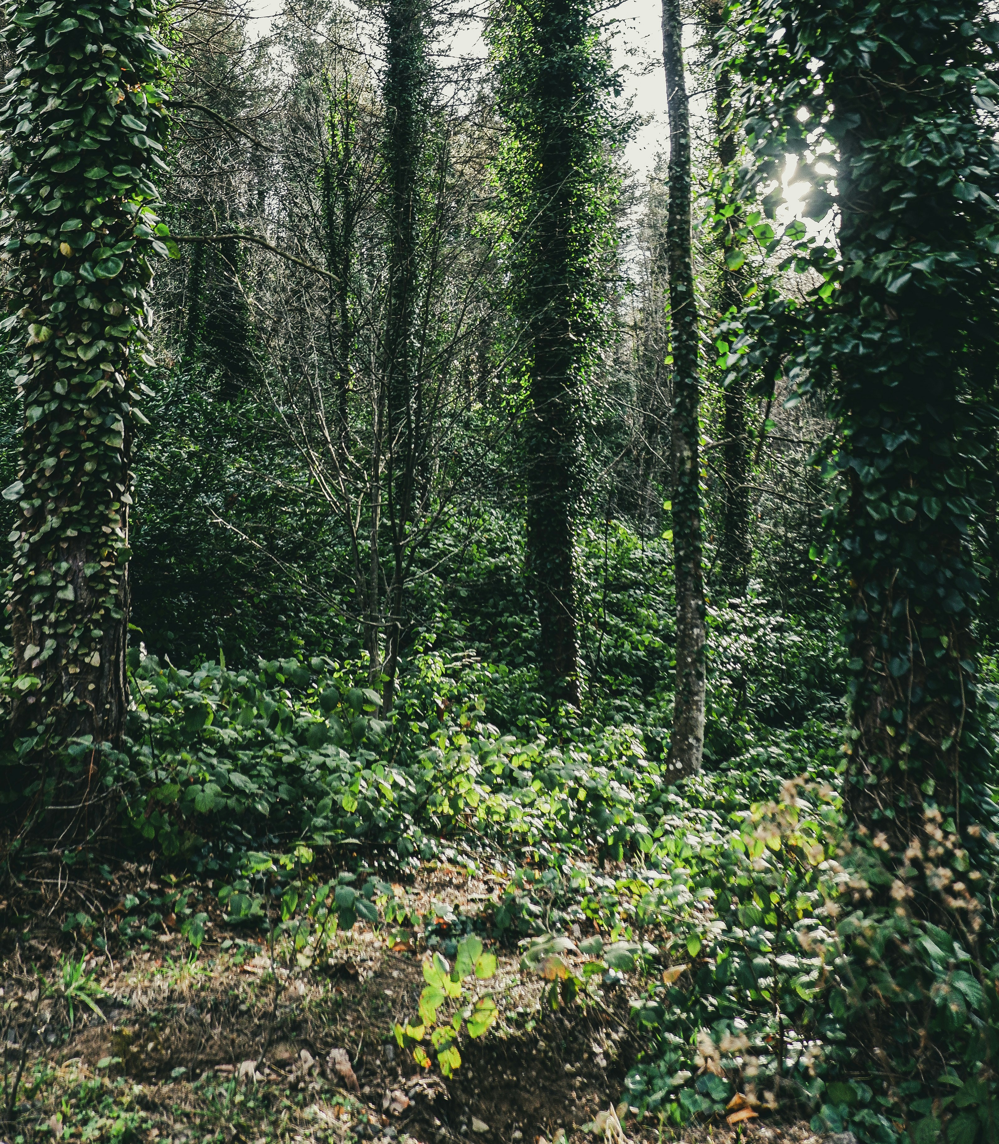 Photo by burakdonertas