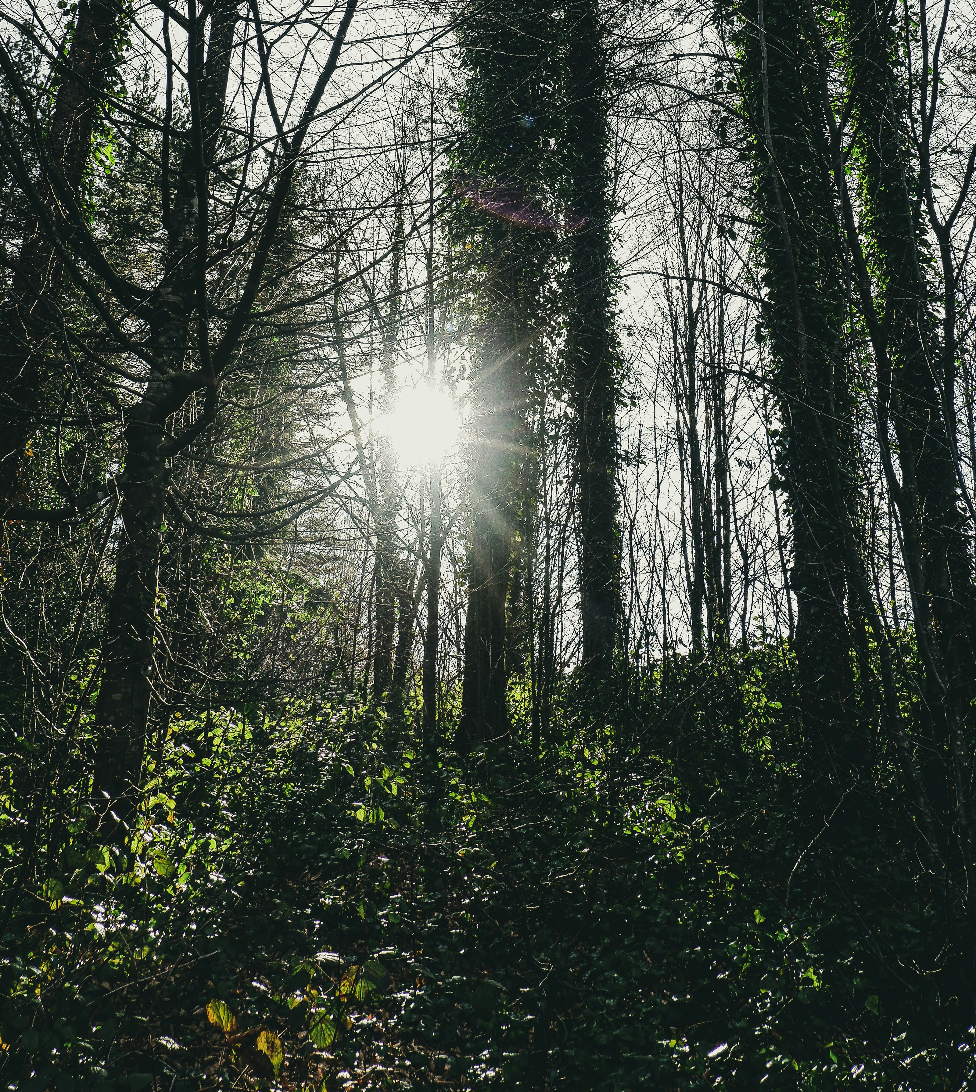 Photo by burakdonertas