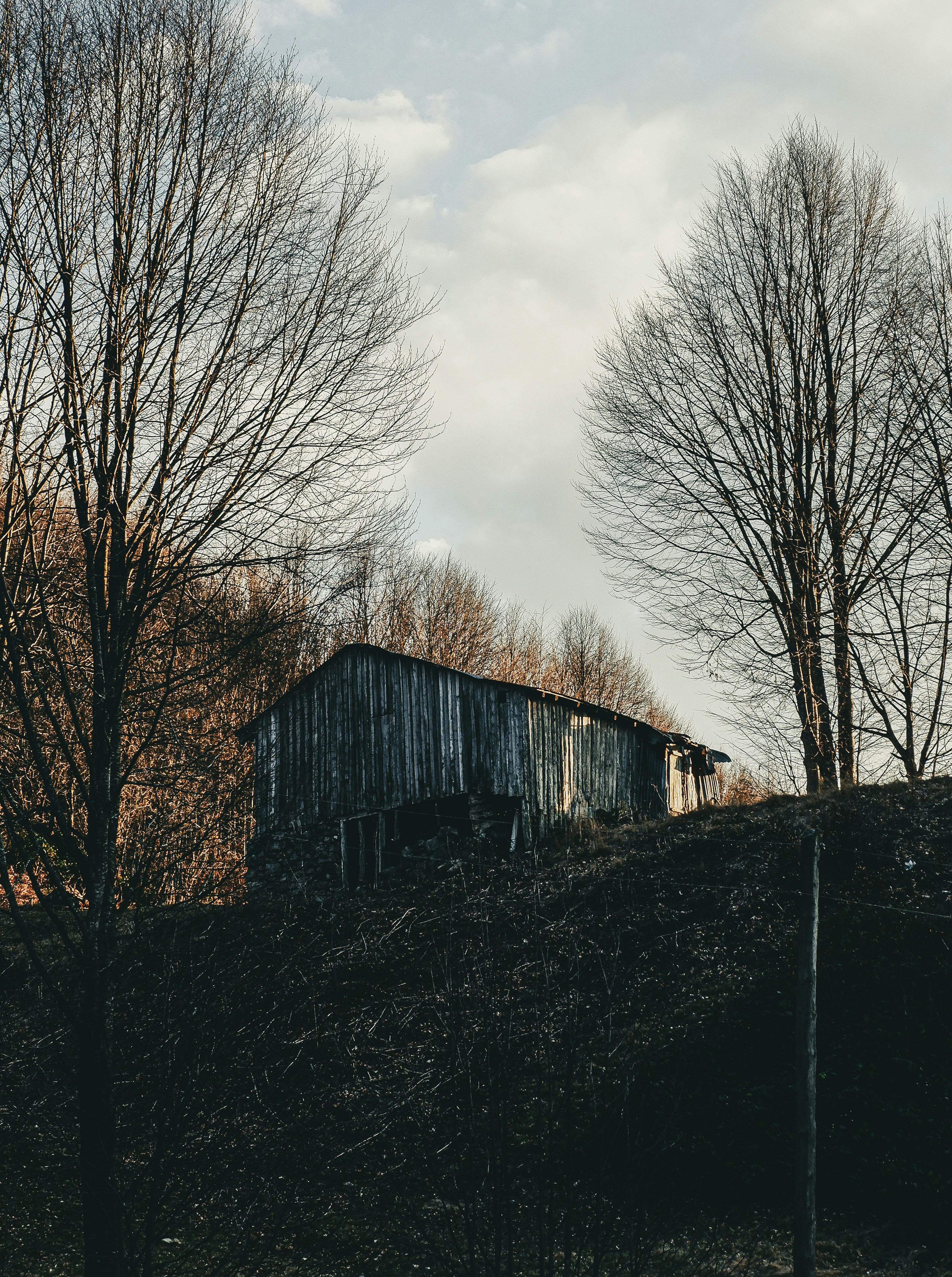 Photo by burakdonertas