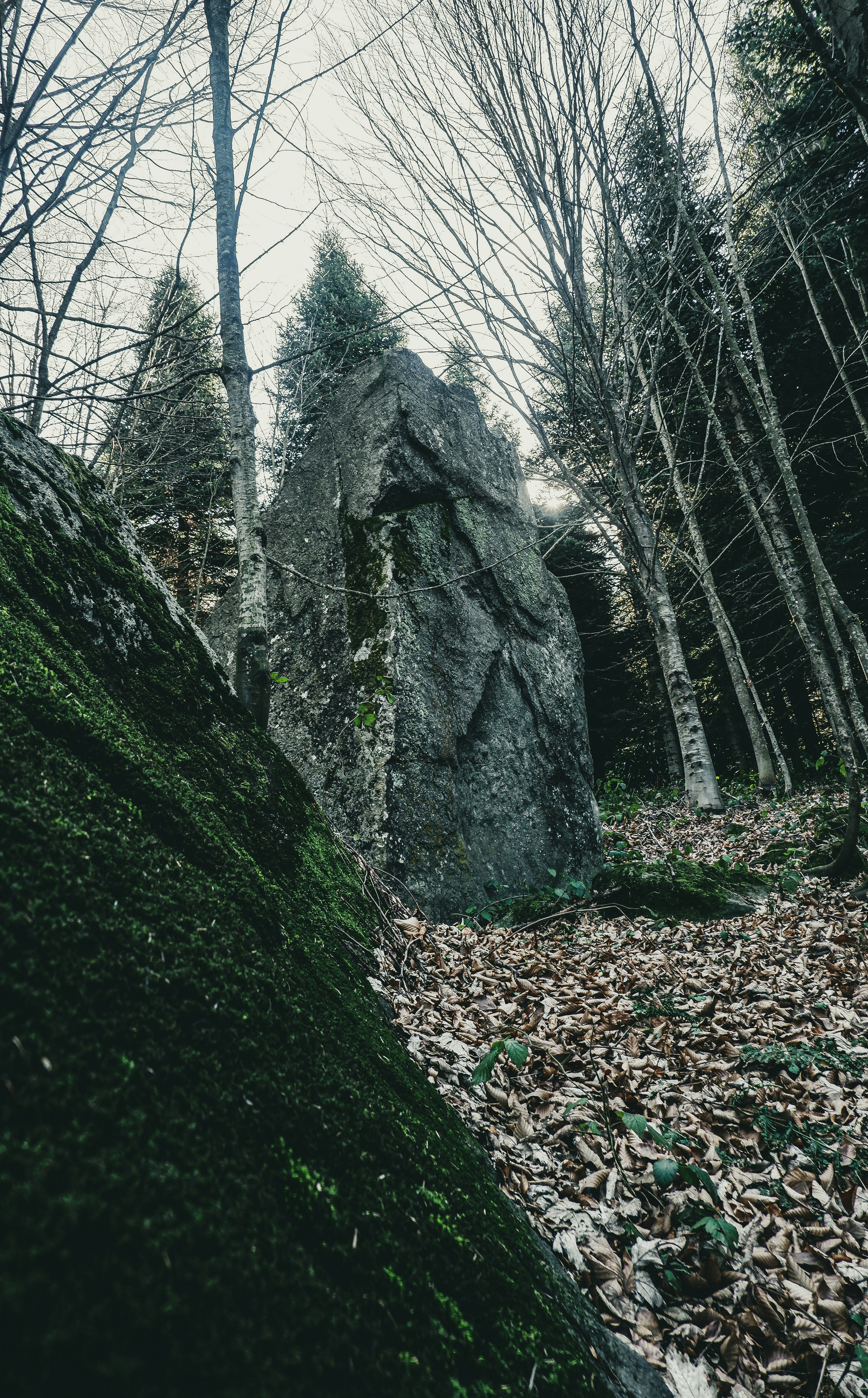 Photo by burakdonertas