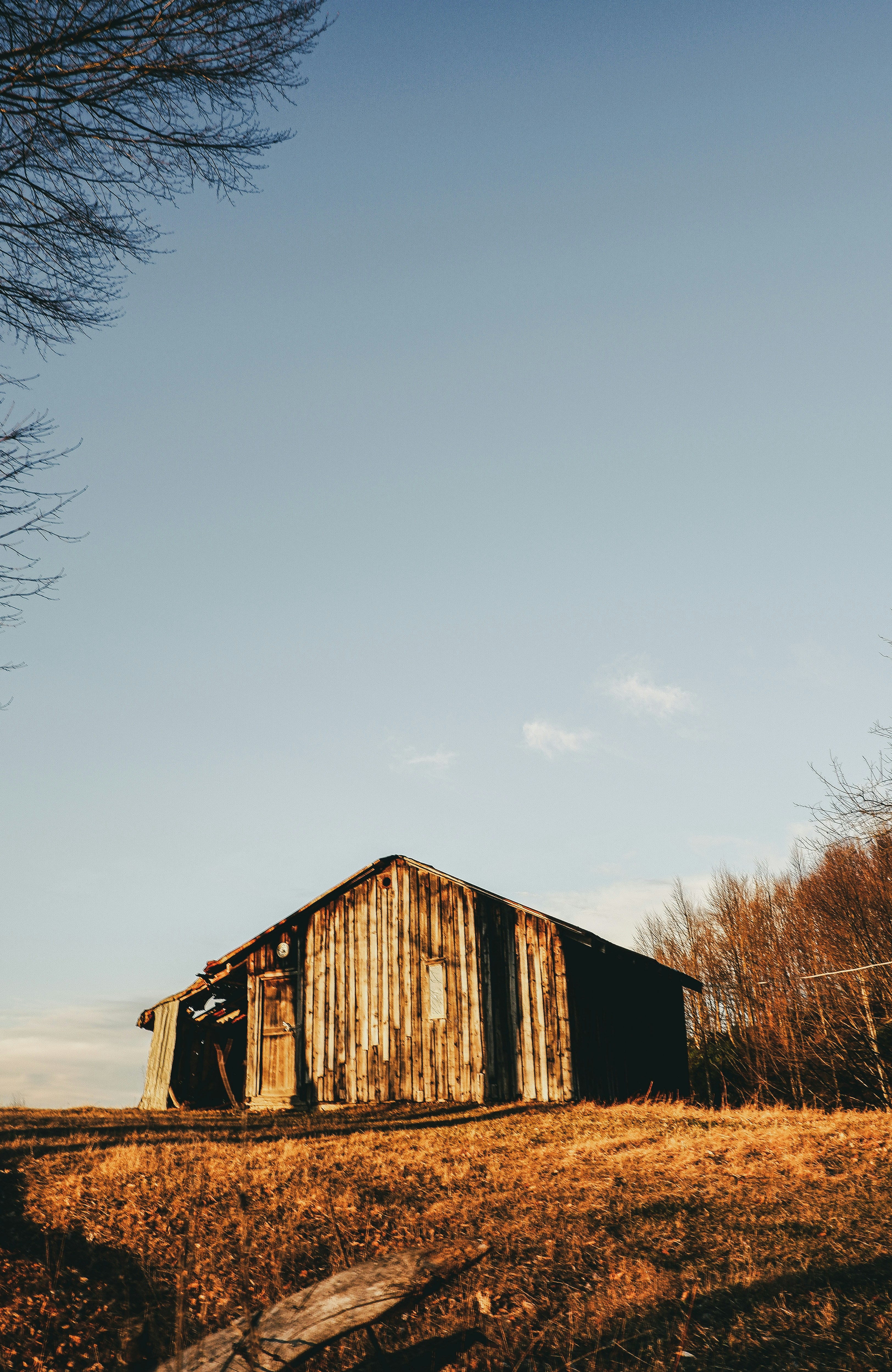 Photo by burakdonertas