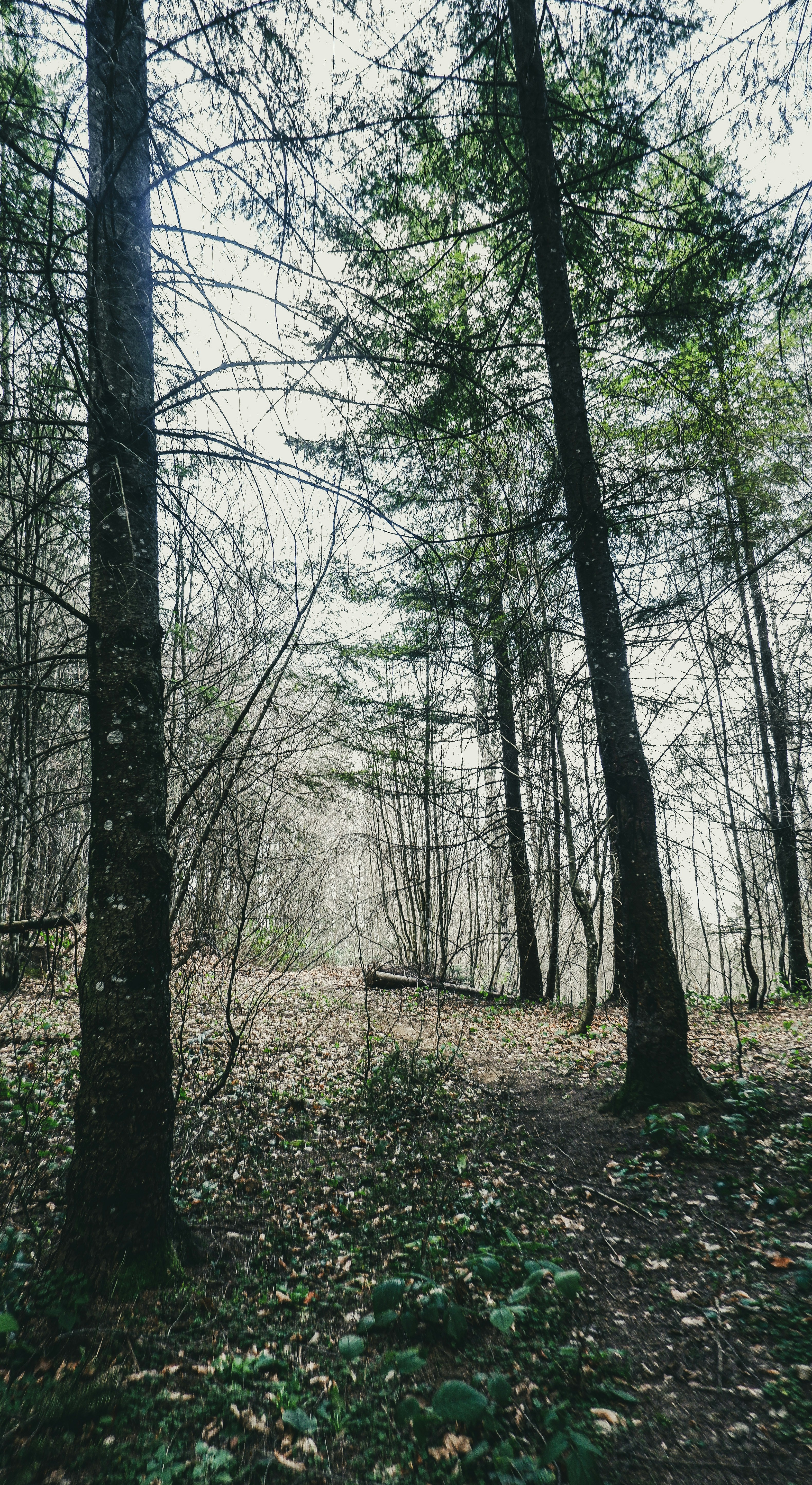 Photo by burakdonertas