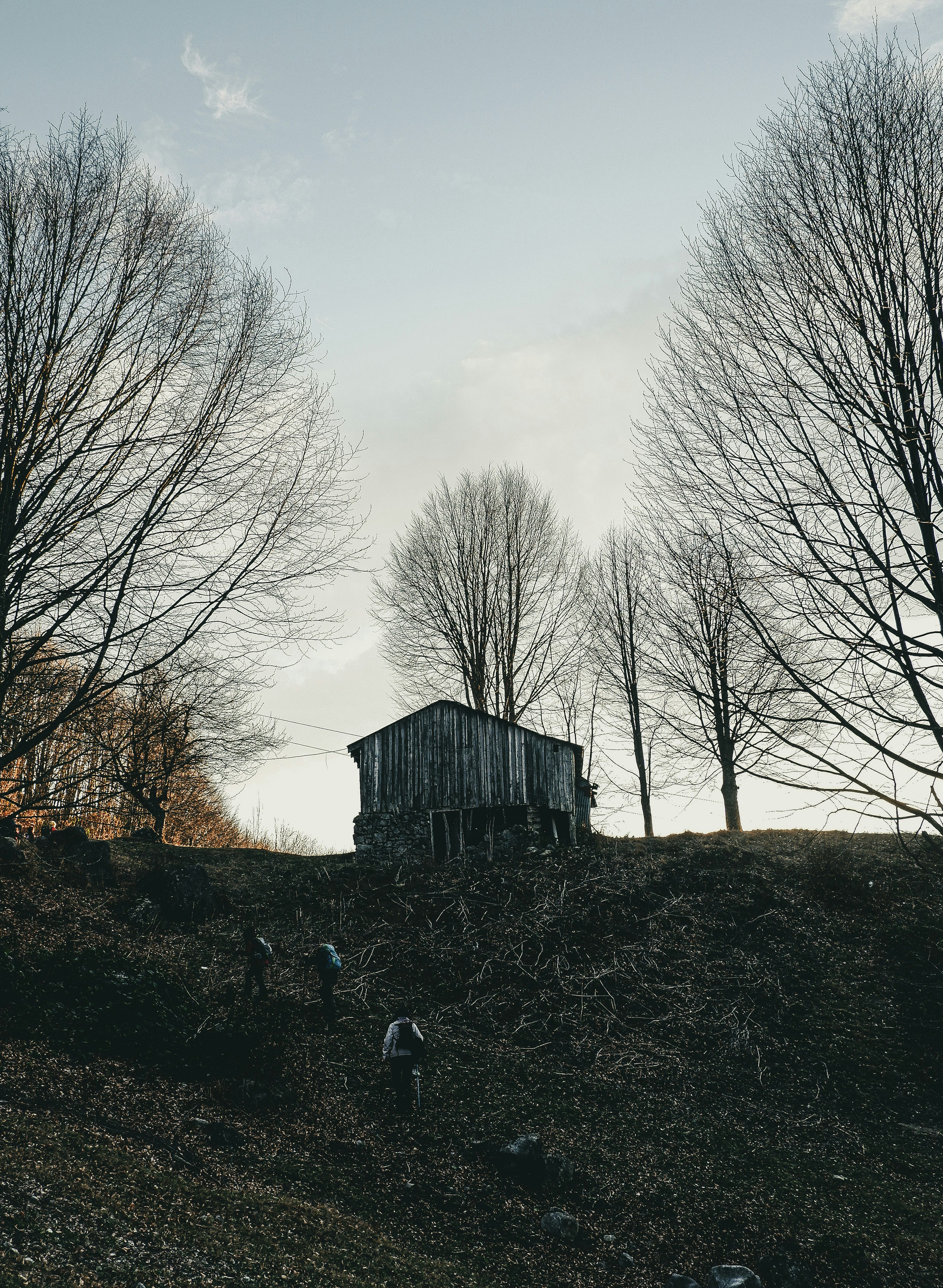 Photo by burakdonertas