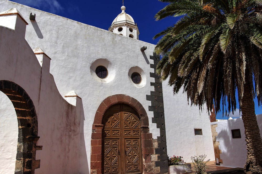 a white building with a brown door and a palm tree