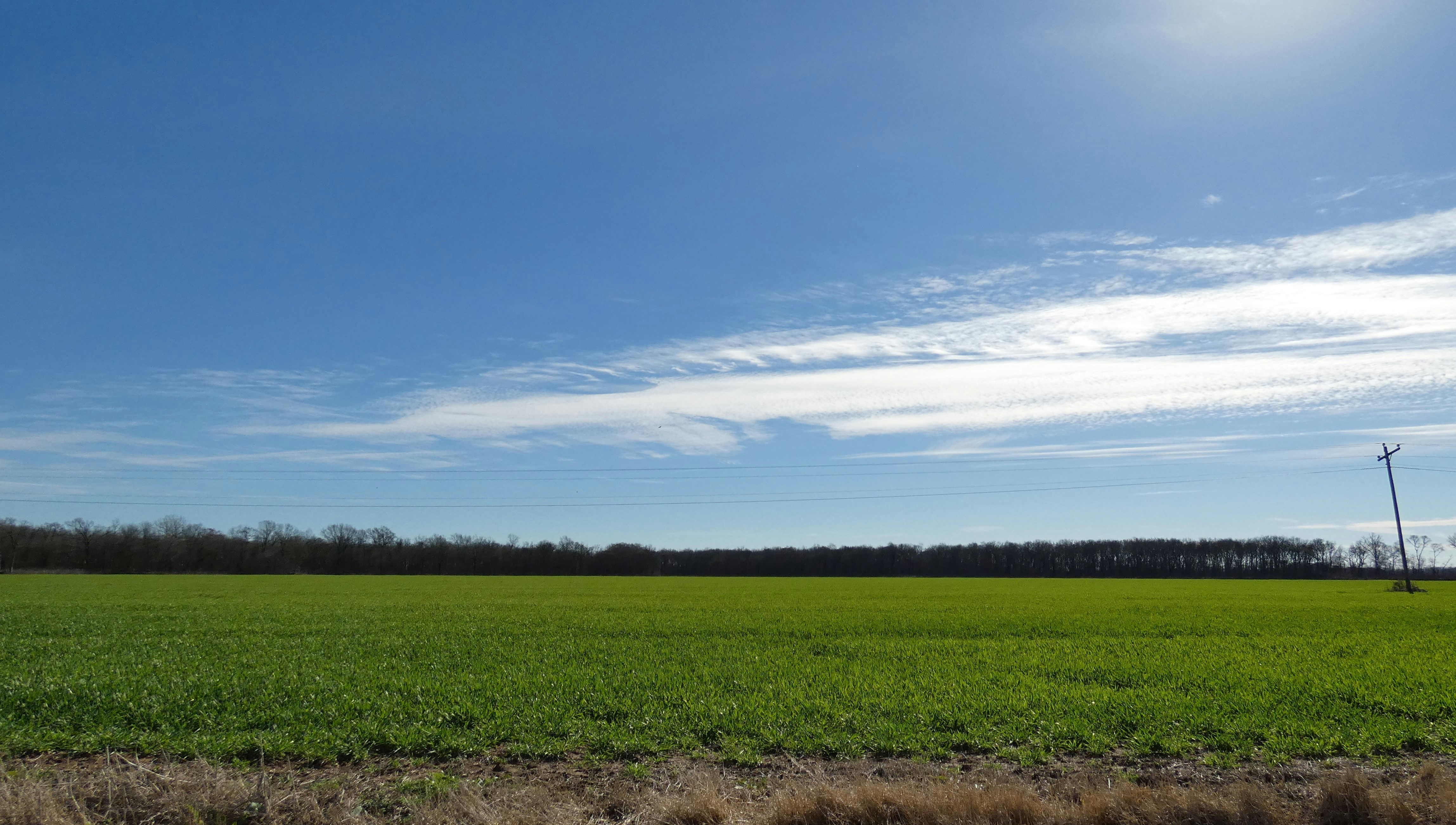 Photo by arkansas007