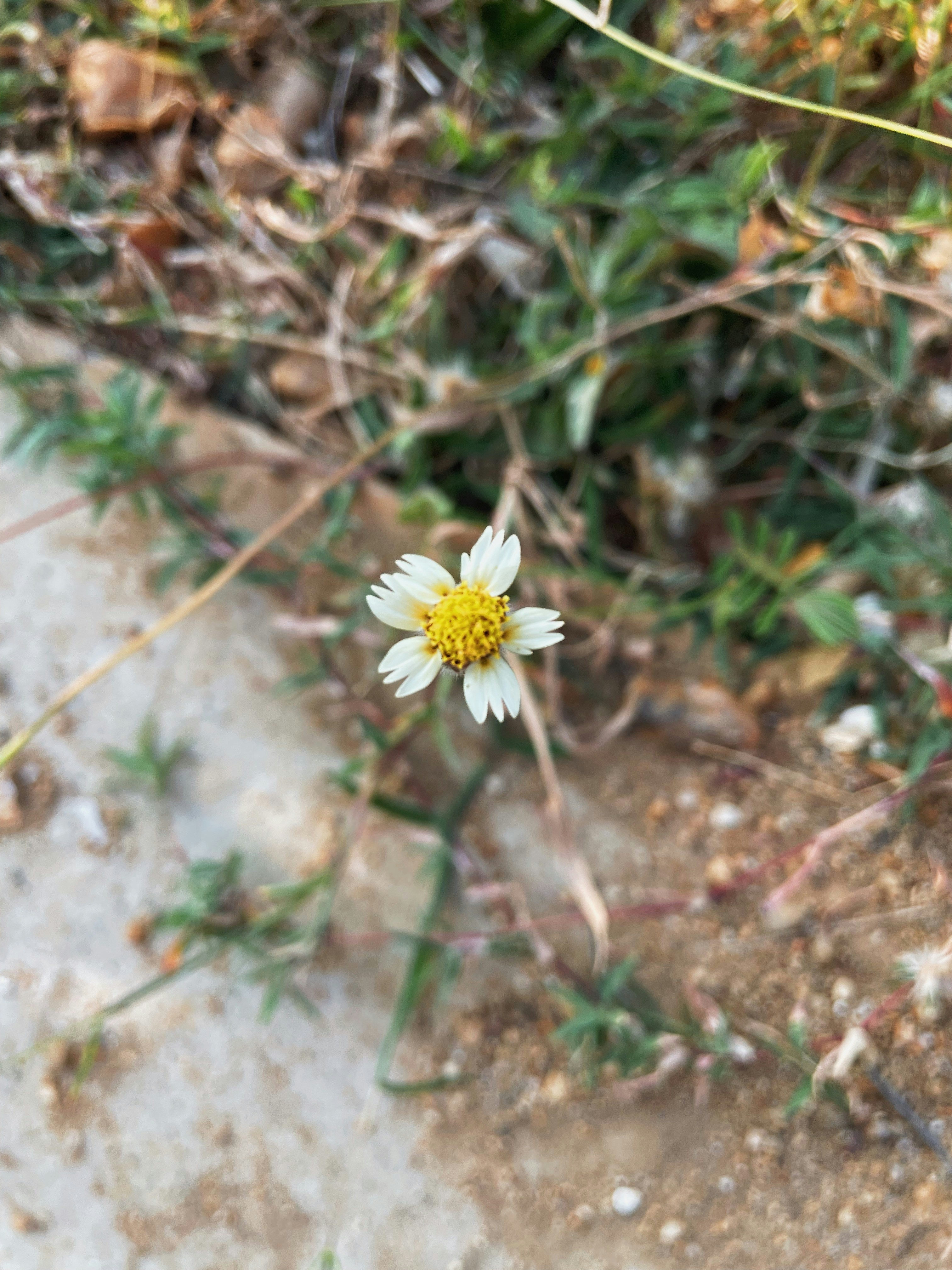 Photo by pineapplexpizza