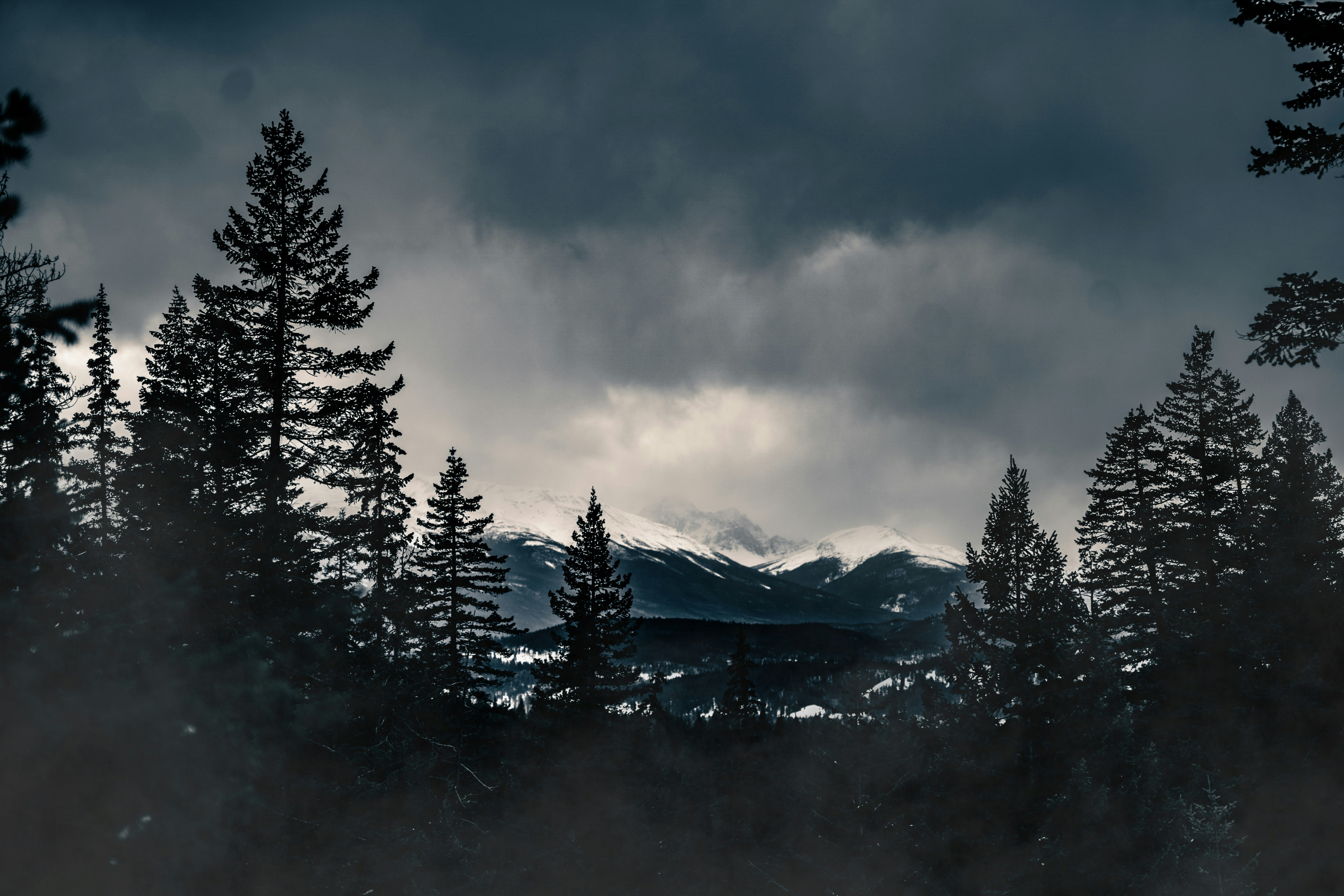 a view of a mountain range with trees in the foreground