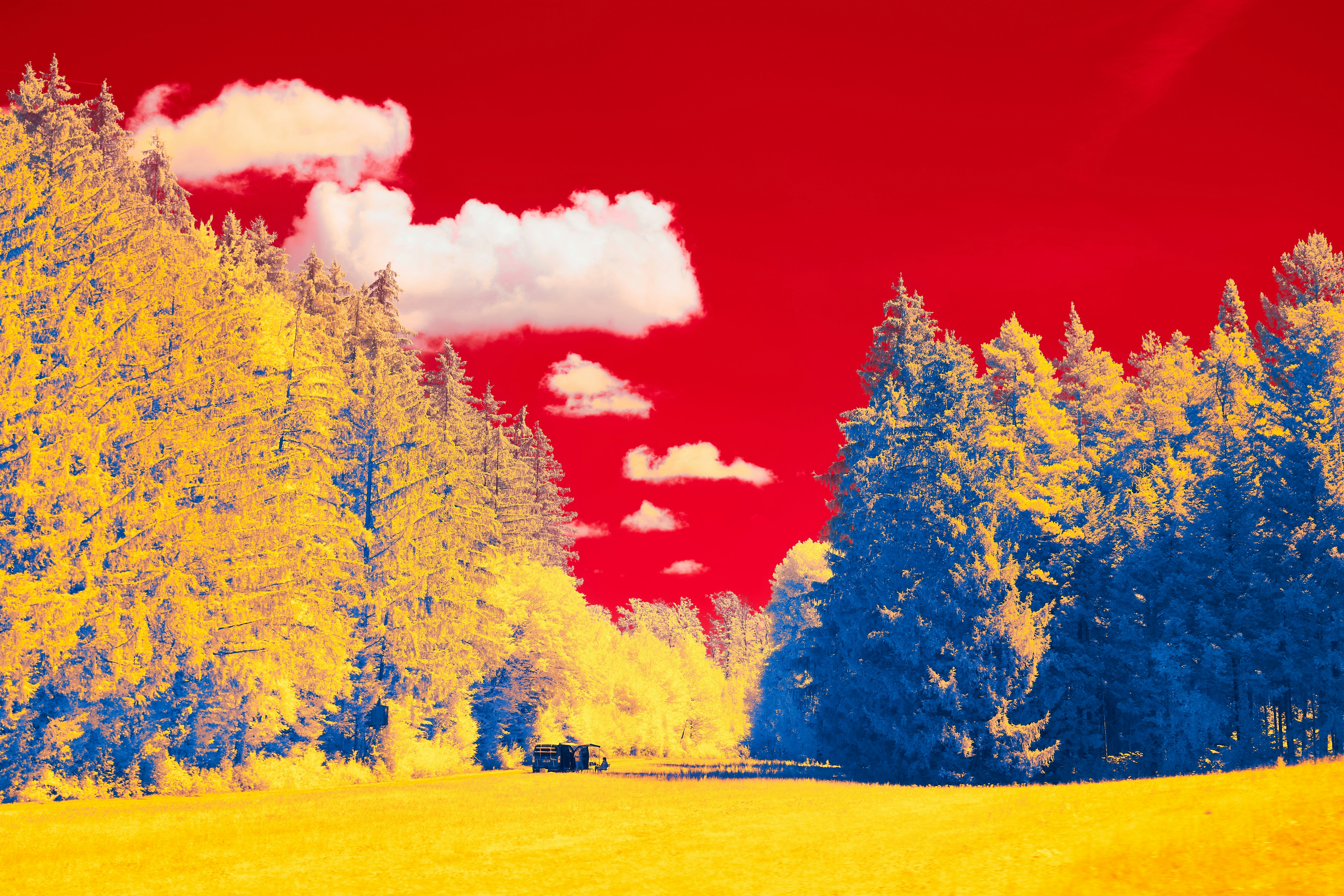 Photo by wolfgang_hasselmann