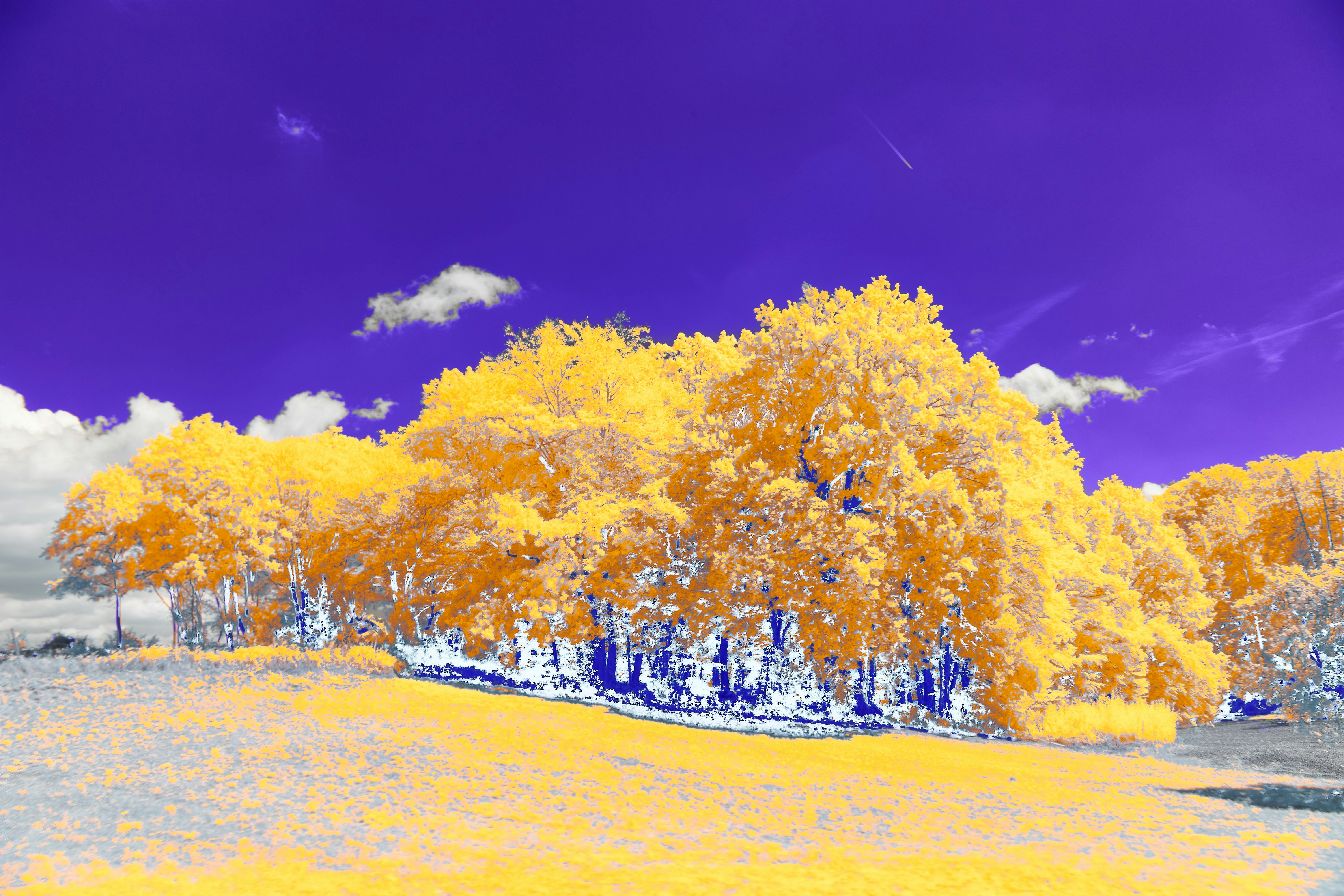 Photo by wolfgang_hasselmann