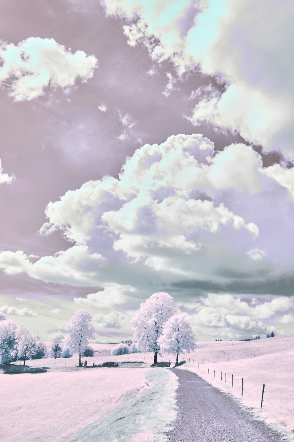 a dirt road with trees and clouds in the background