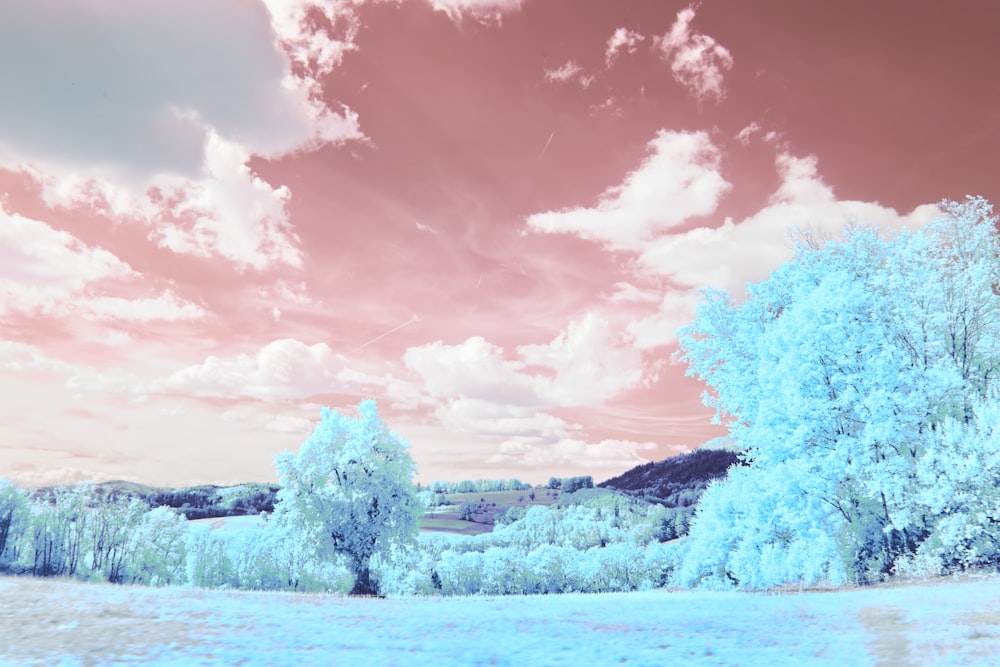 a infrared image of trees and clouds in the sky