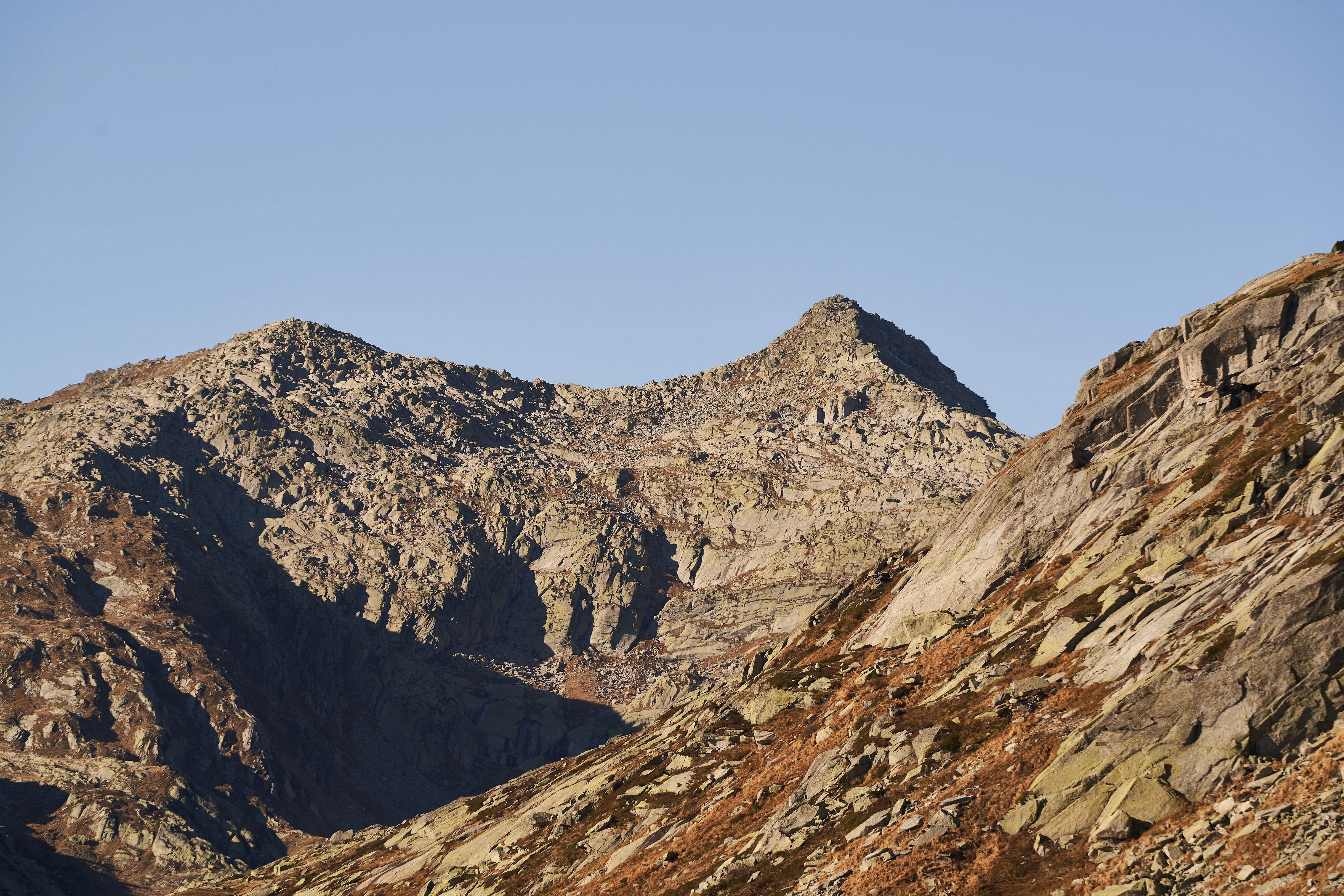 Photo by wolfgang_hasselmann