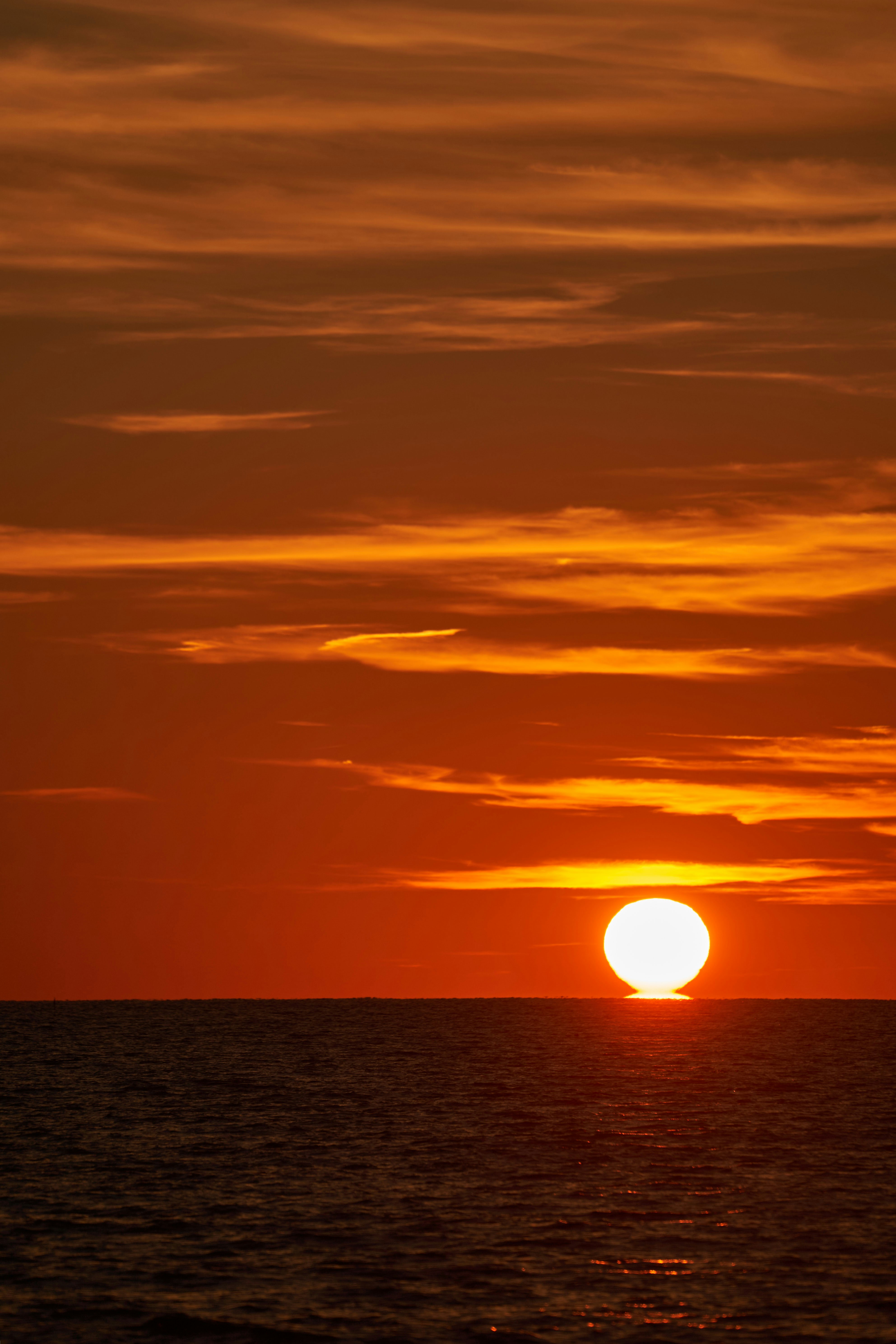 Photo by wolfgang_hasselmann