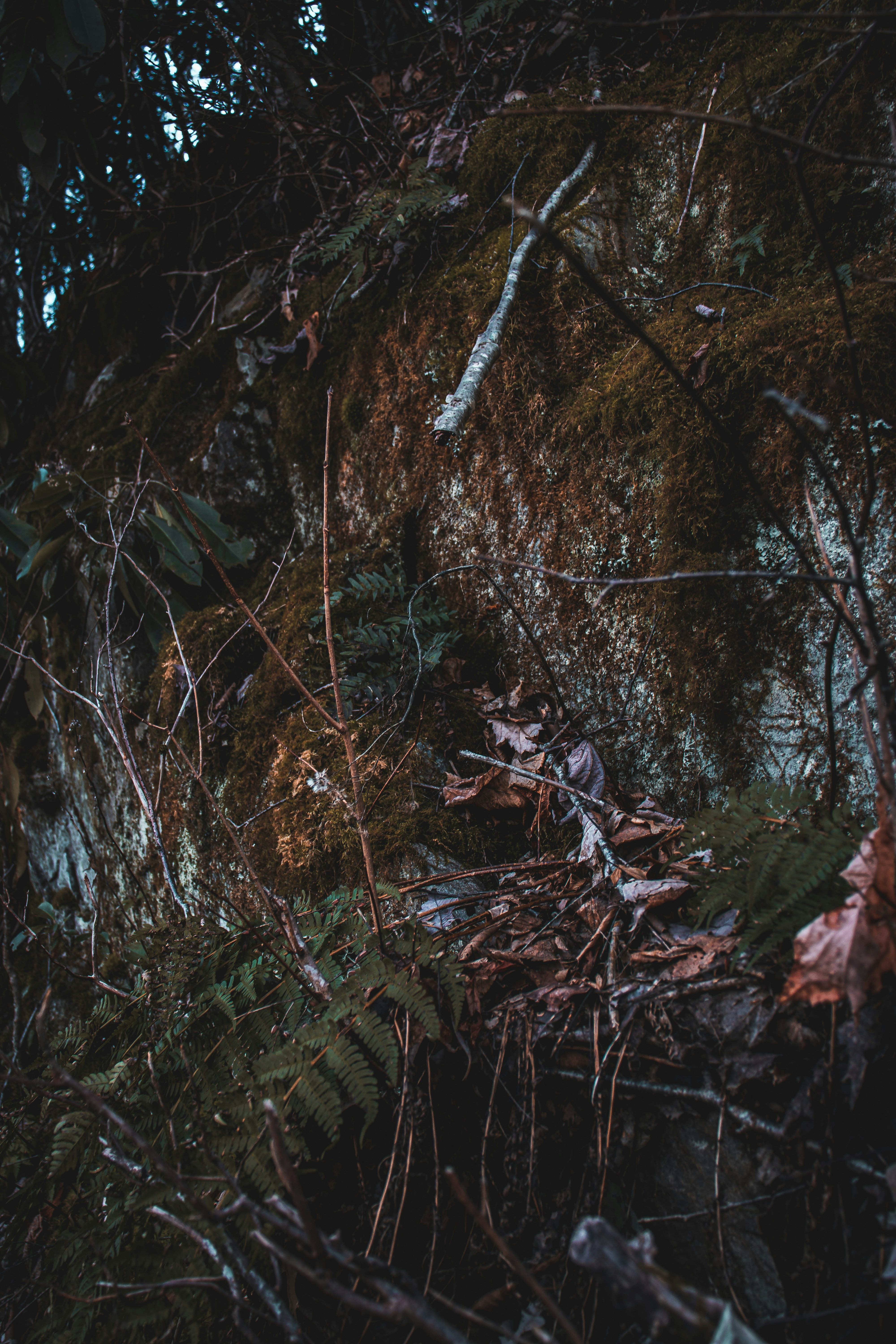 Photo by brice_cooper18