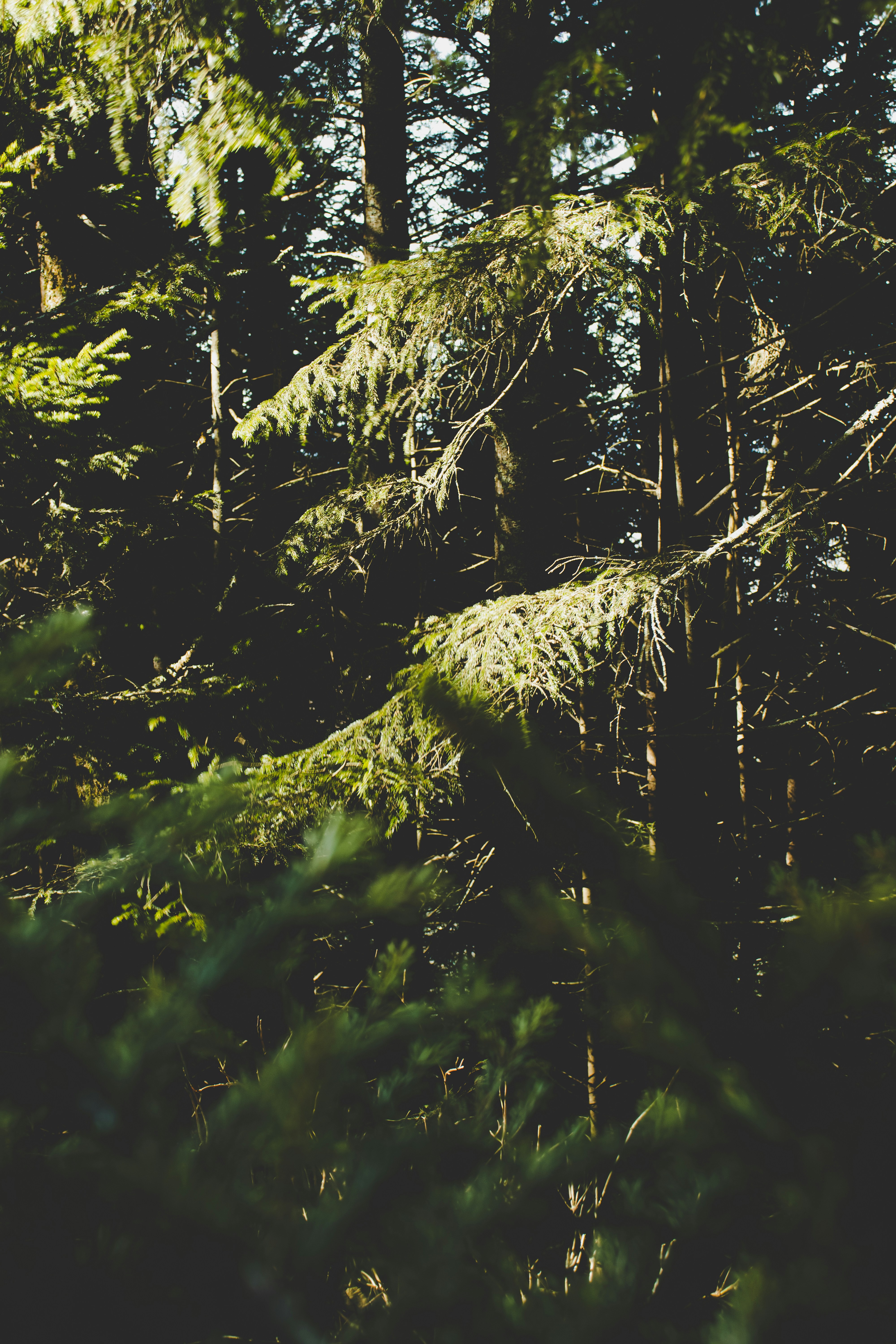 Photo by brice_cooper18