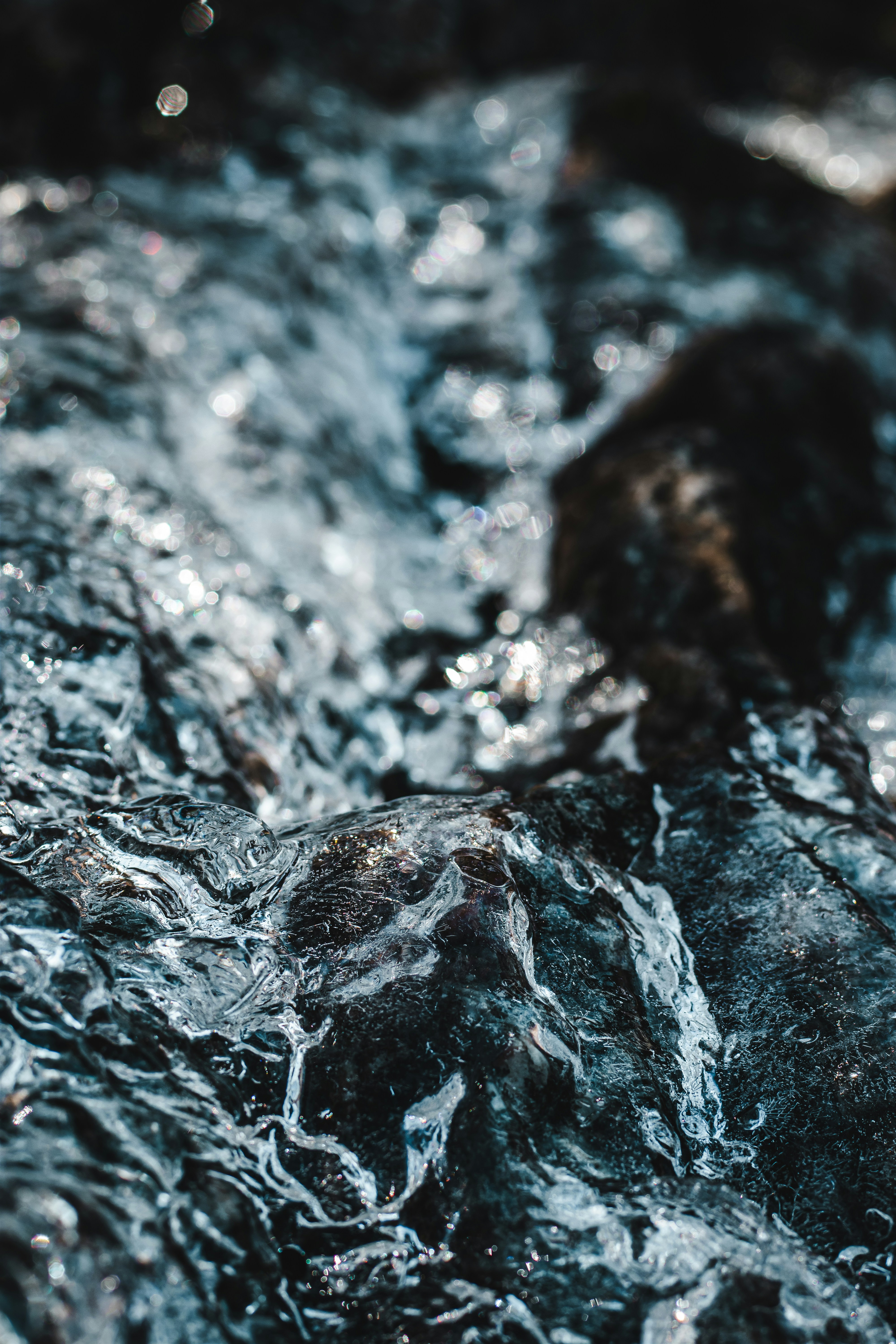 Photo by brice_cooper18