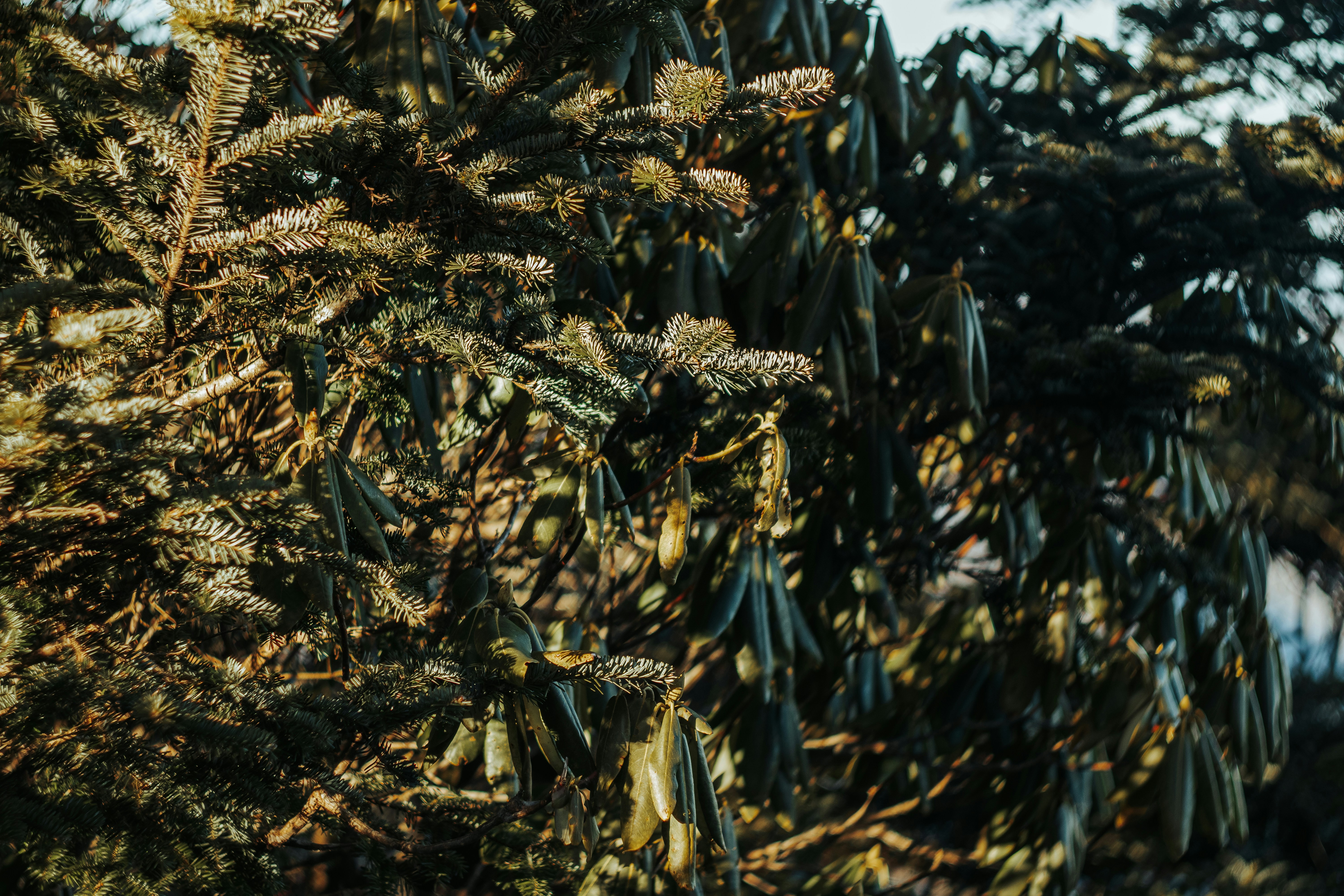 Photo by brice_cooper18