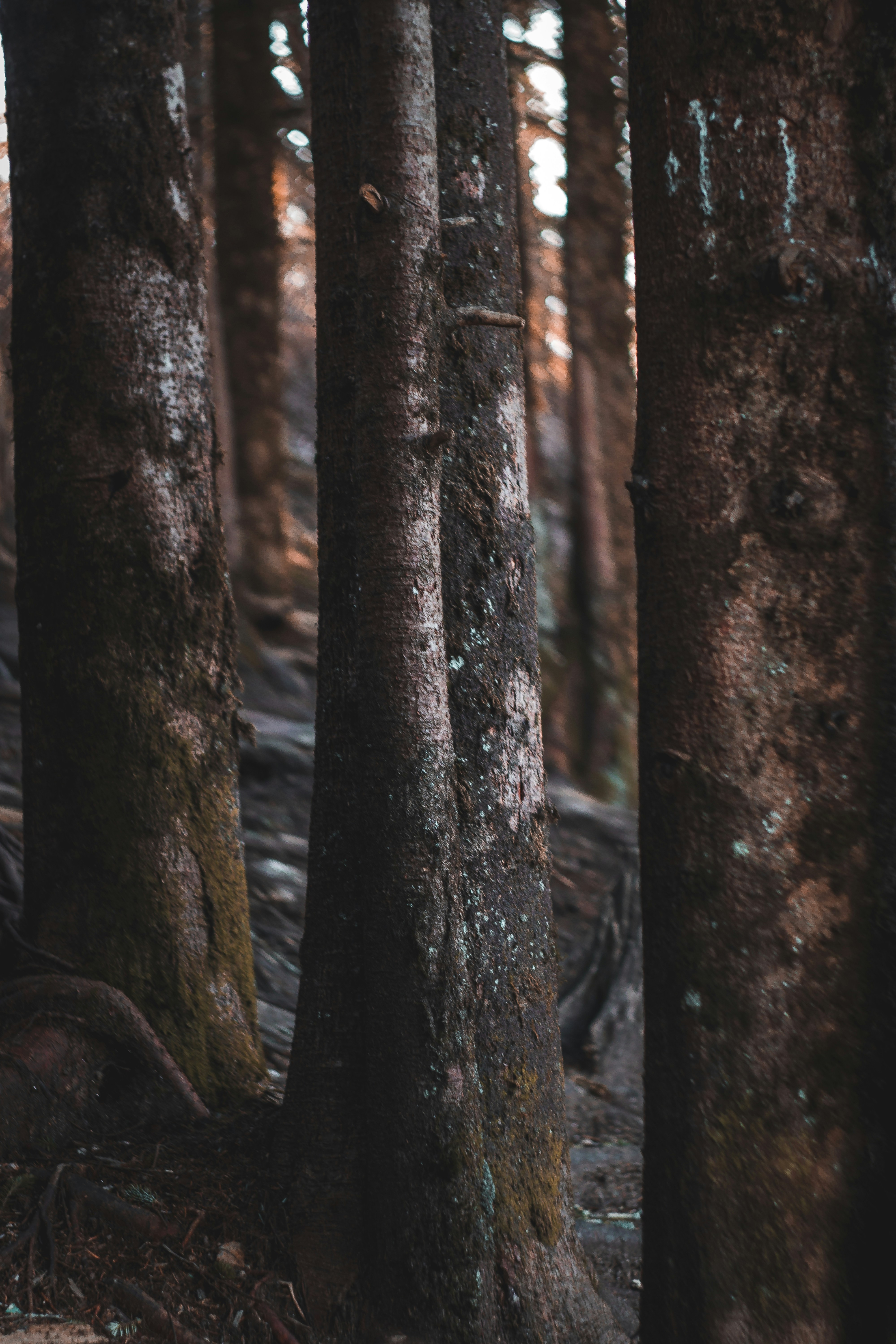 Photo by brice_cooper18