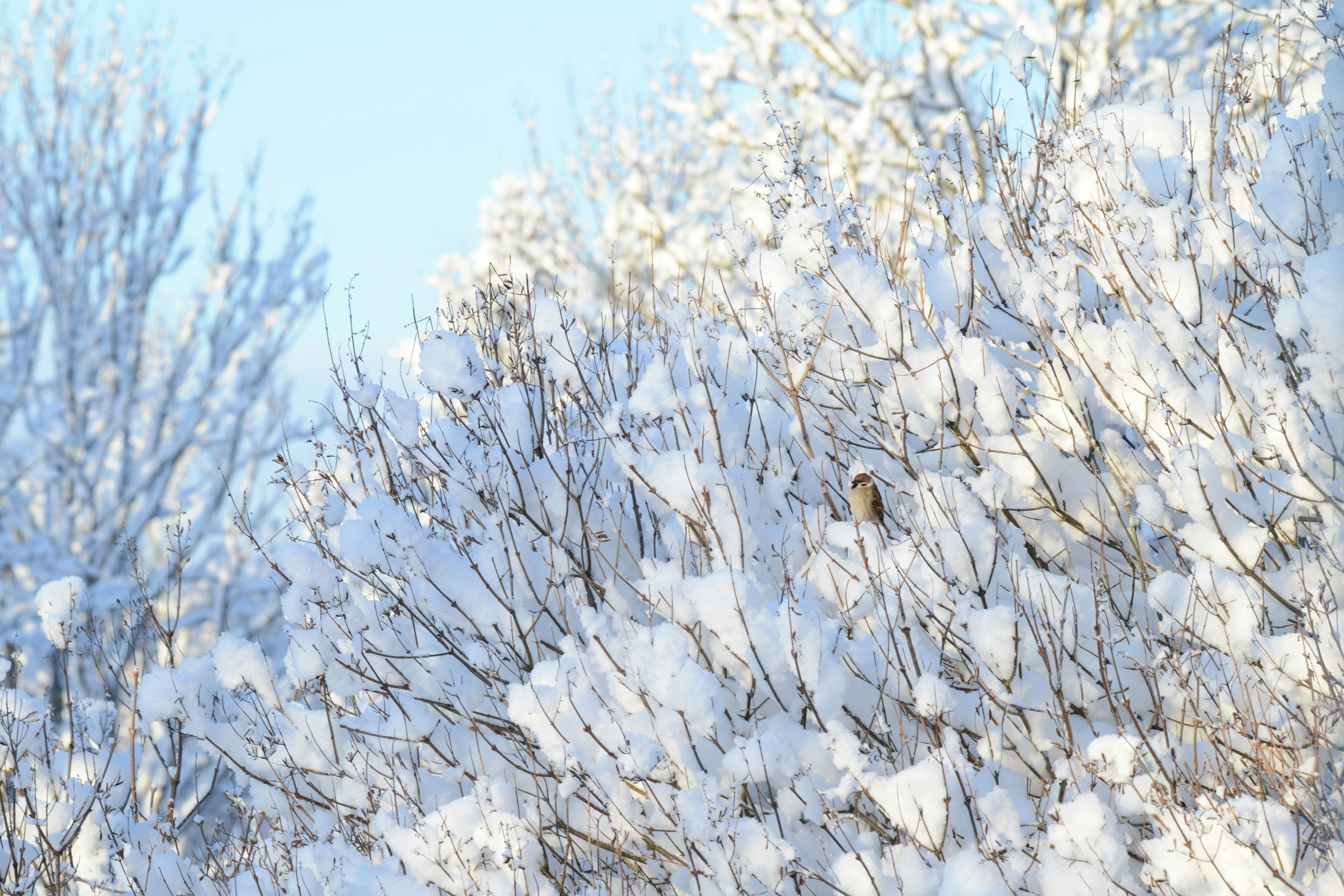 Photo by anitaaustvika