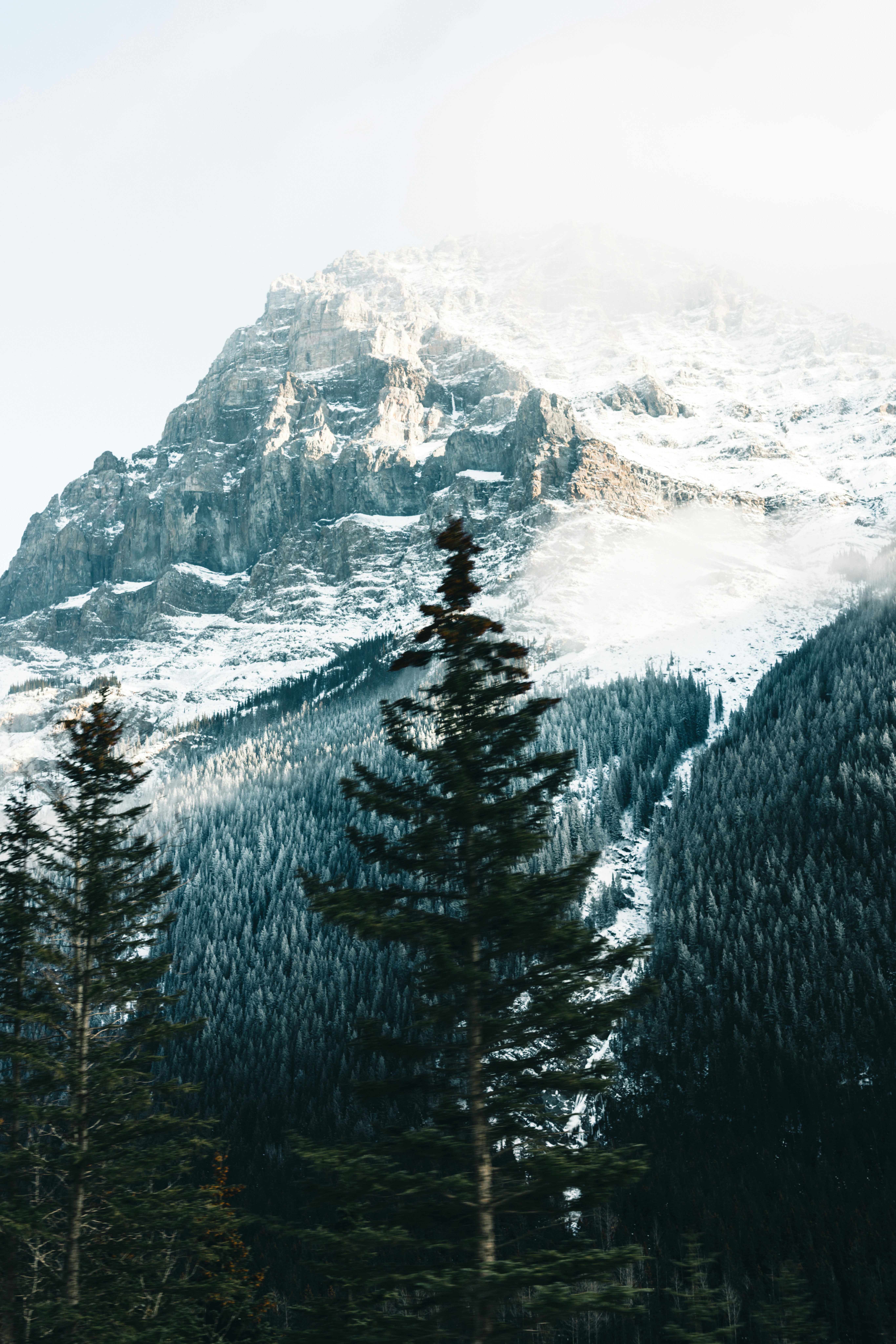 Photo by lureofadventure