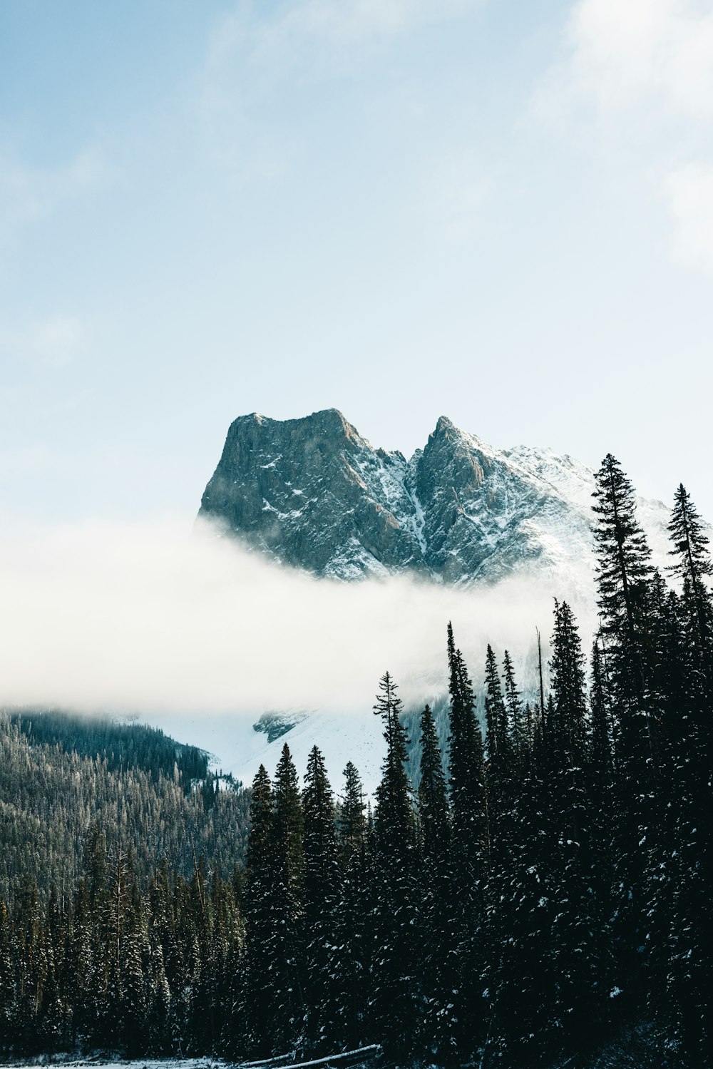 a snow covered mountain surrounded by pine trees