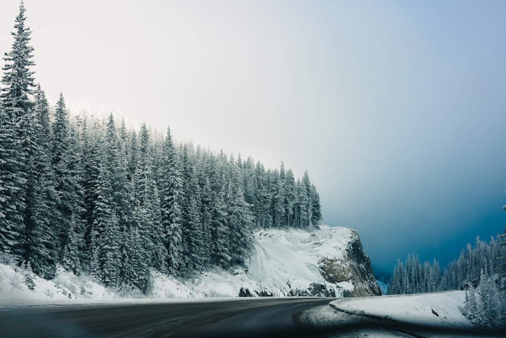 a snow covered road with trees on both sides