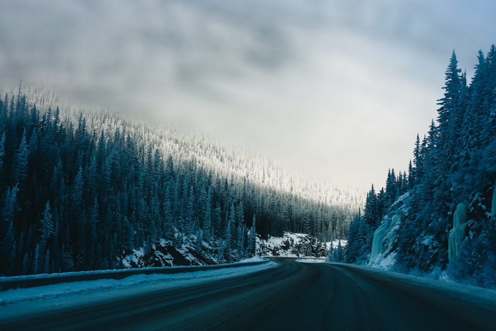 a snow covered road in the middle of a forest