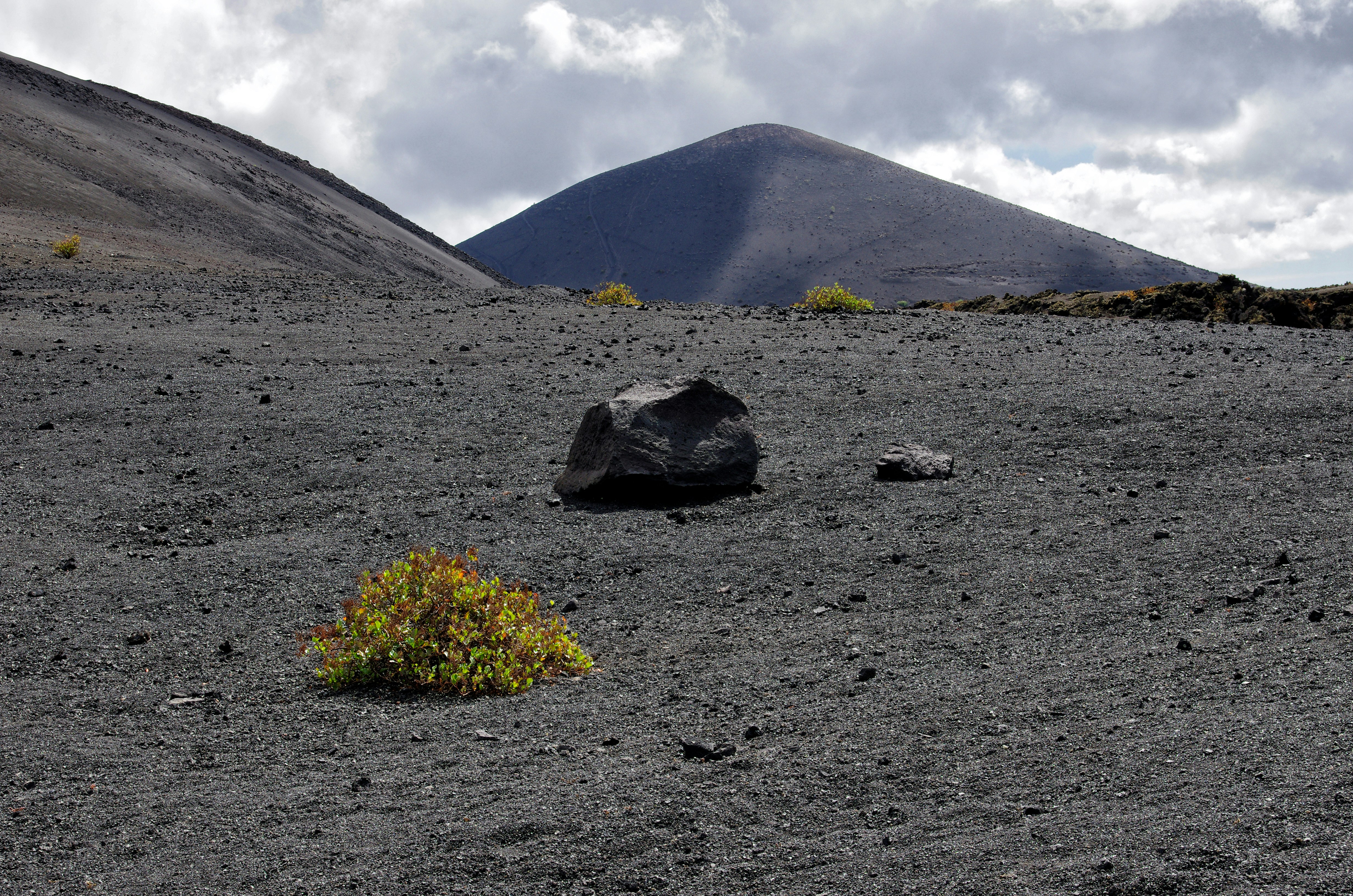 photo-1674413416464-039a785bdbdf?ixid=M3wxMjA3fDB8MXxzZWFyY2h8NzZ8fGNvbXByYXIlMjB0cnVmYXMlMjBuZWdyYXN8ZW58MHx8fHwxNzAxNDI0OTgwfDA%5Cu0026ixlib=rb-4.0.3