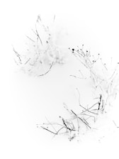 a black and white photo of snow on the ground