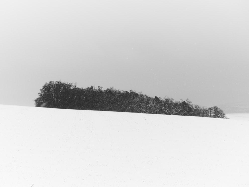 a black and white photo of a snow covered field