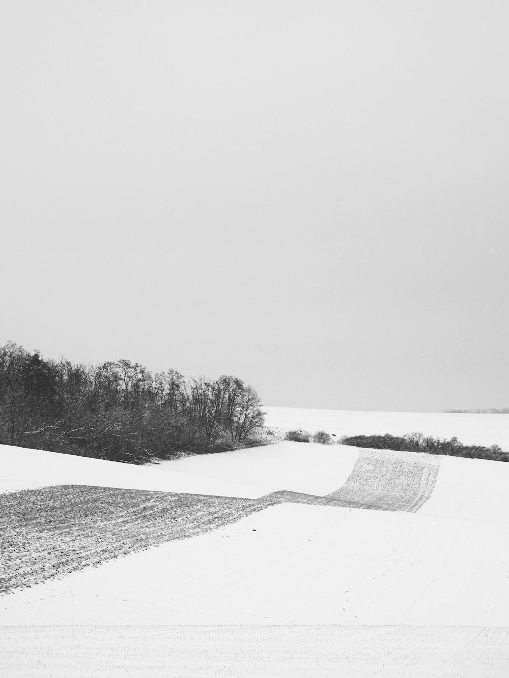 a black and white photo of a snow covered field