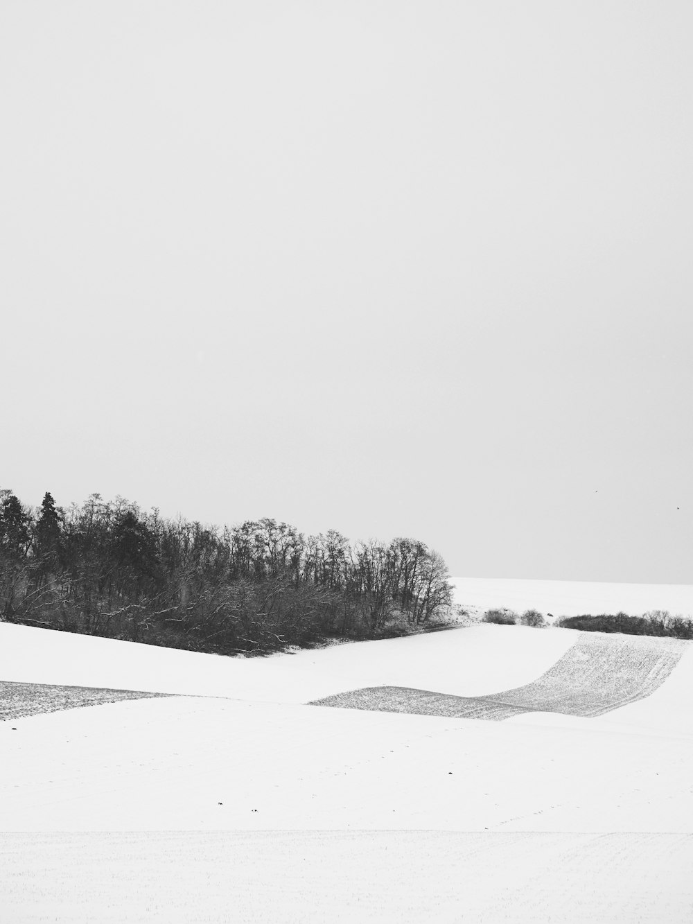 a black and white photo of a snow covered field