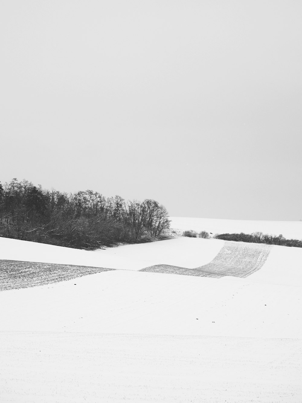 a black and white photo of a snow covered field