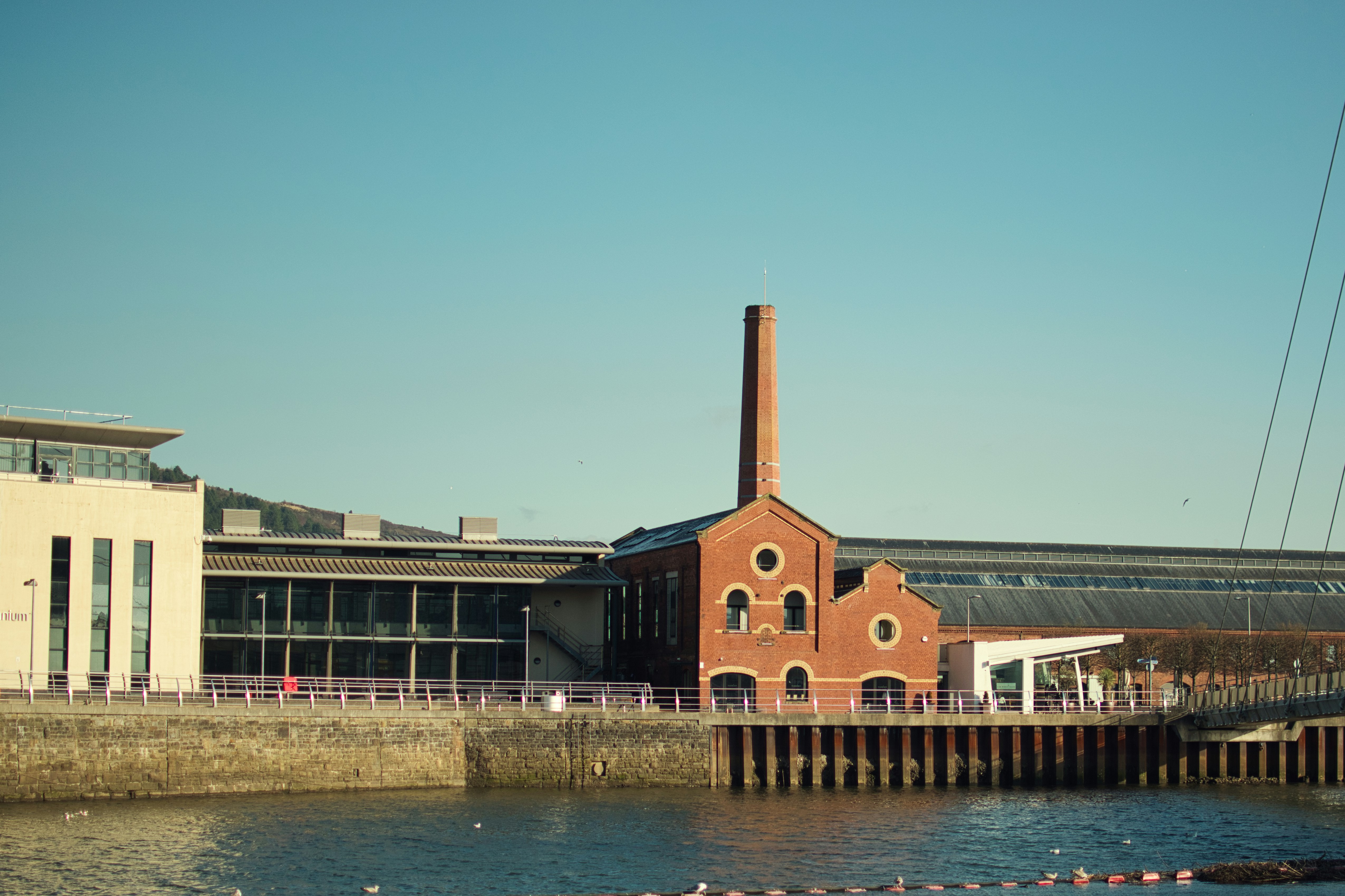 A Safeguarding Failure Hidden in Plain Sight for Swansea University