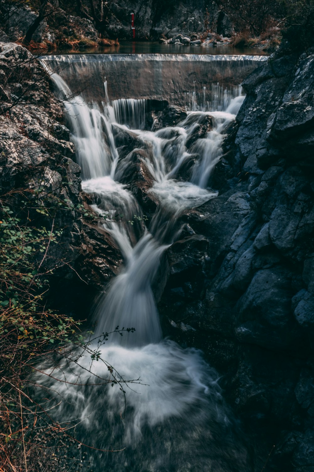 Une petite cascade au milieu d’une forêt