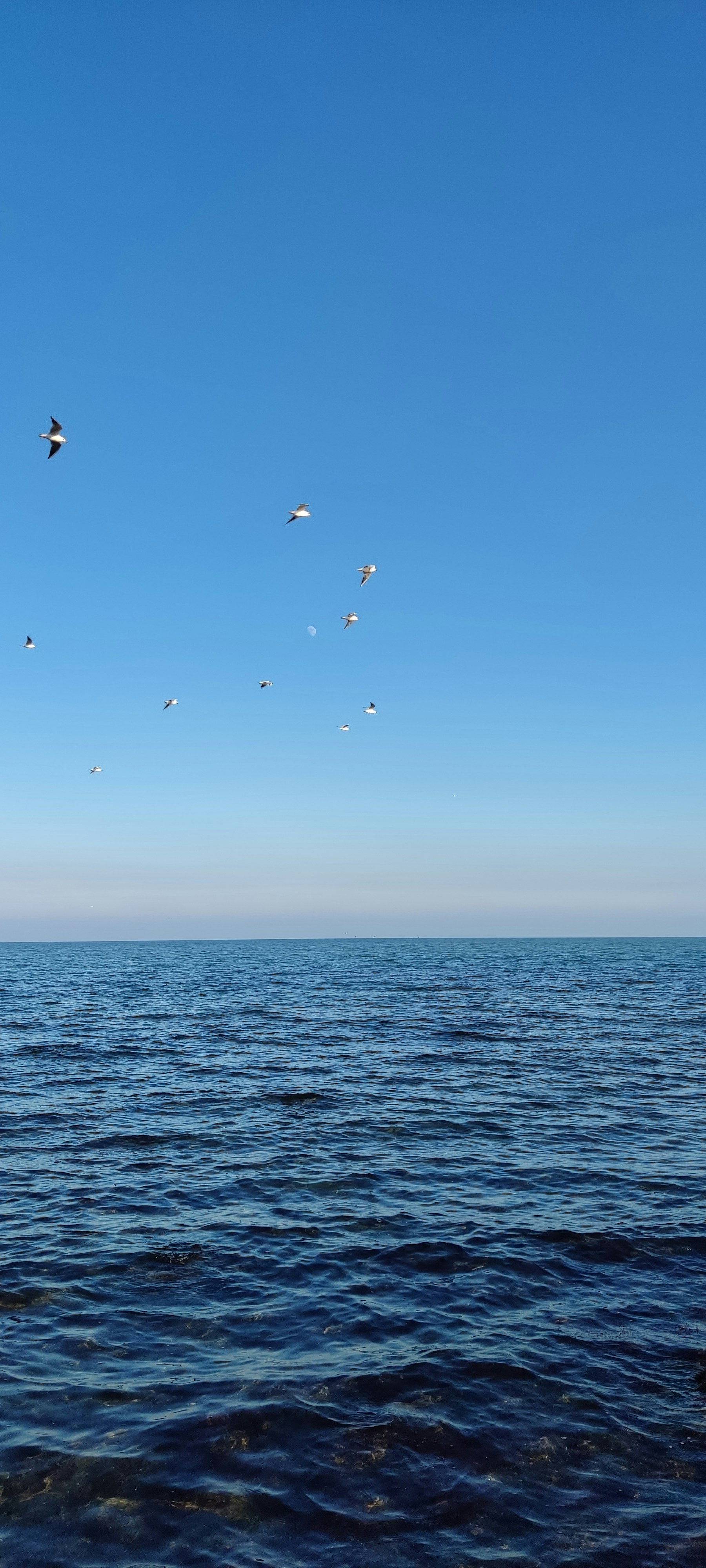 Photo by kasra_neshat