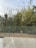 A garden scene featuring a tiled patio in the foreground with a metal fence separating the area from a variety of trees and plants. The trees have sparse green foliage and yellow flowers. The sky is overcast, and there is a lush green backdrop.