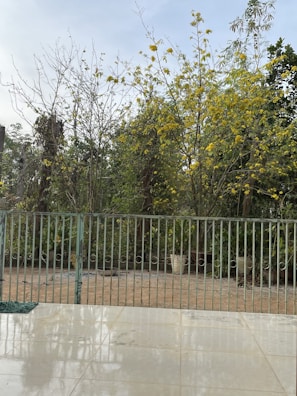 A garden scene featuring a tiled patio in the foreground with a metal fence separating the area from a variety of trees and plants. The trees have sparse green foliage and yellow flowers. The sky is overcast, and there is a lush green backdrop.