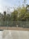 A garden scene featuring a tiled patio in the foreground with a metal fence separating the area from a variety of trees and plants. The trees have sparse green foliage and yellow flowers. The sky is overcast, and there is a lush green backdrop.