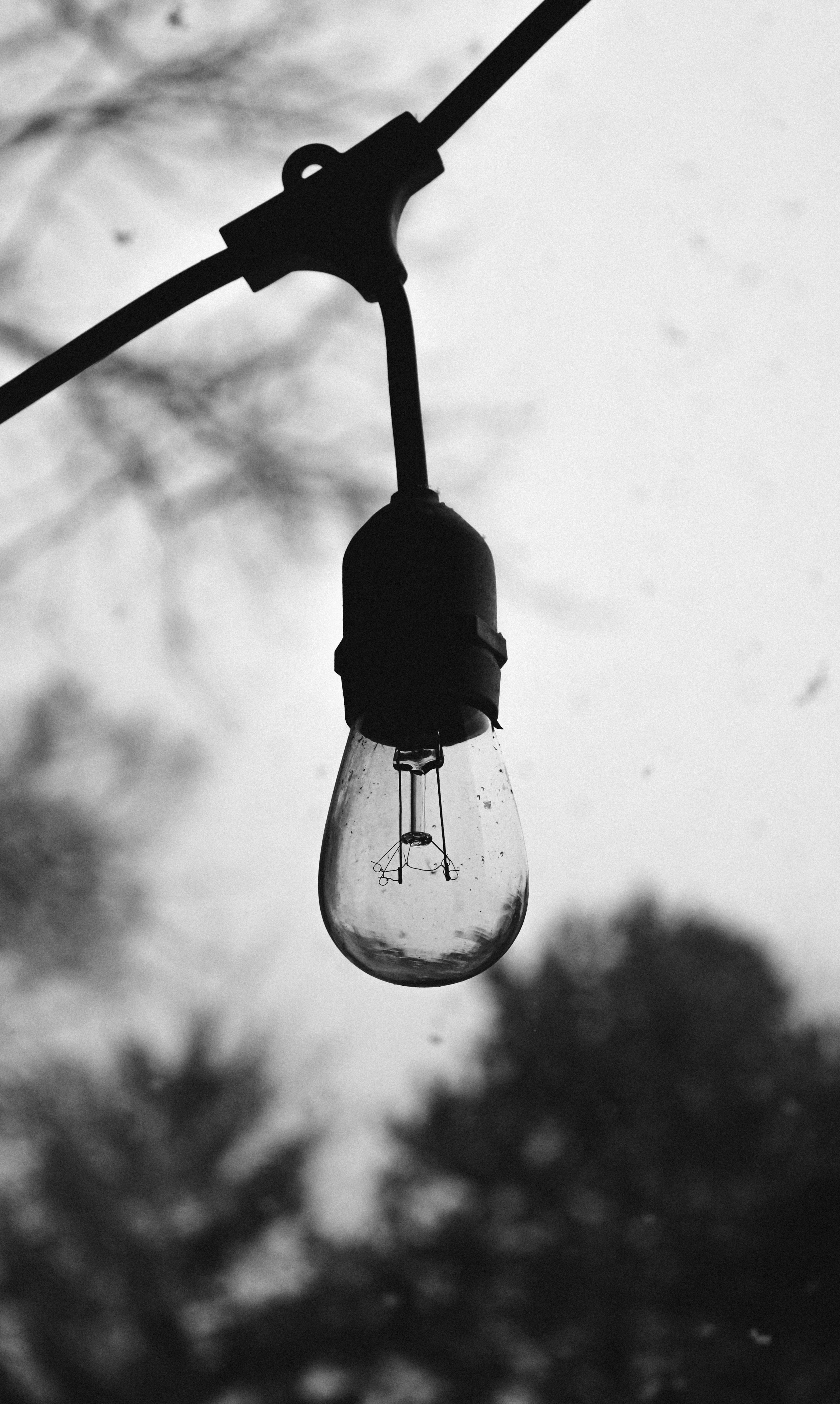 Photo by linusbelanger