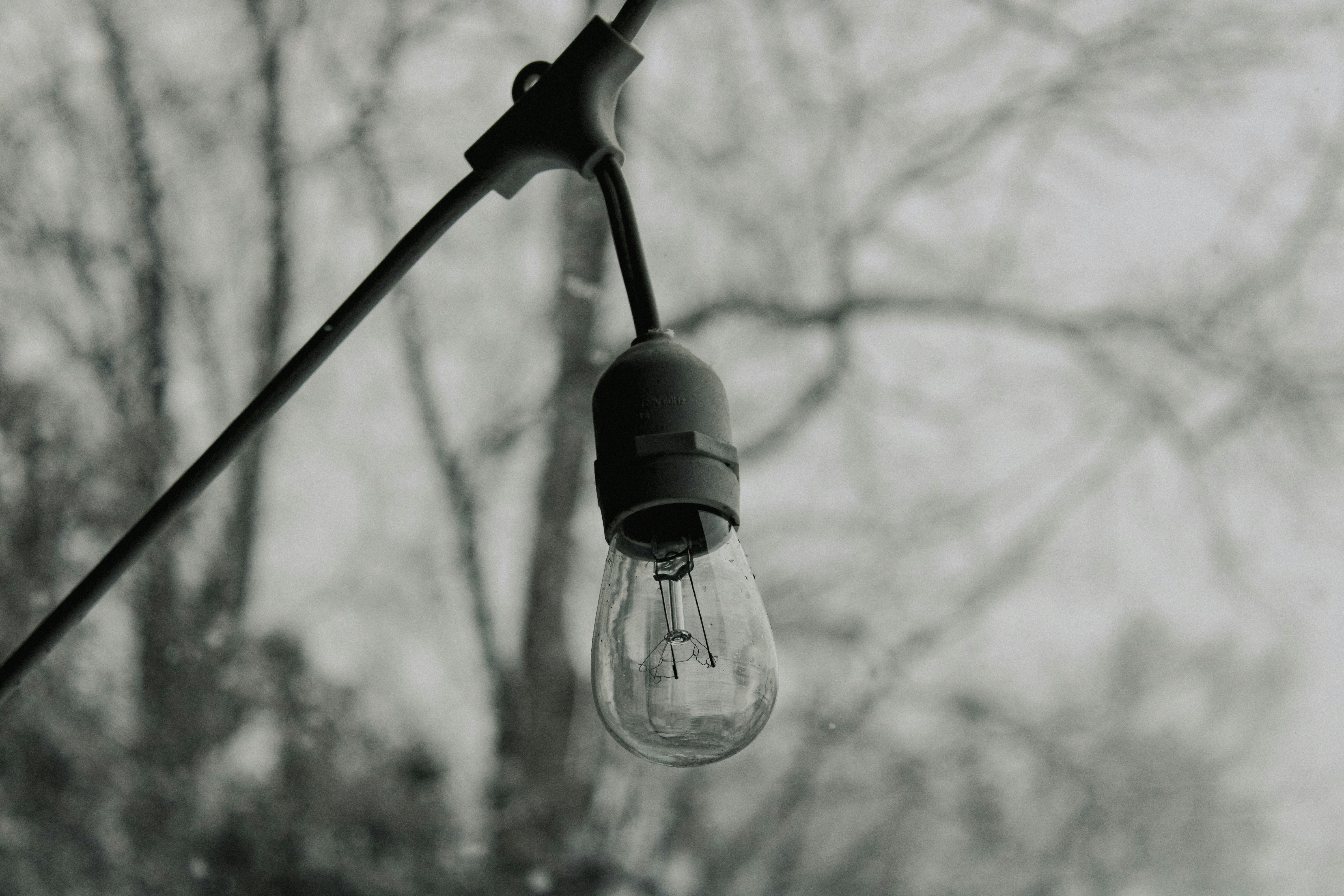 Photo by linusbelanger