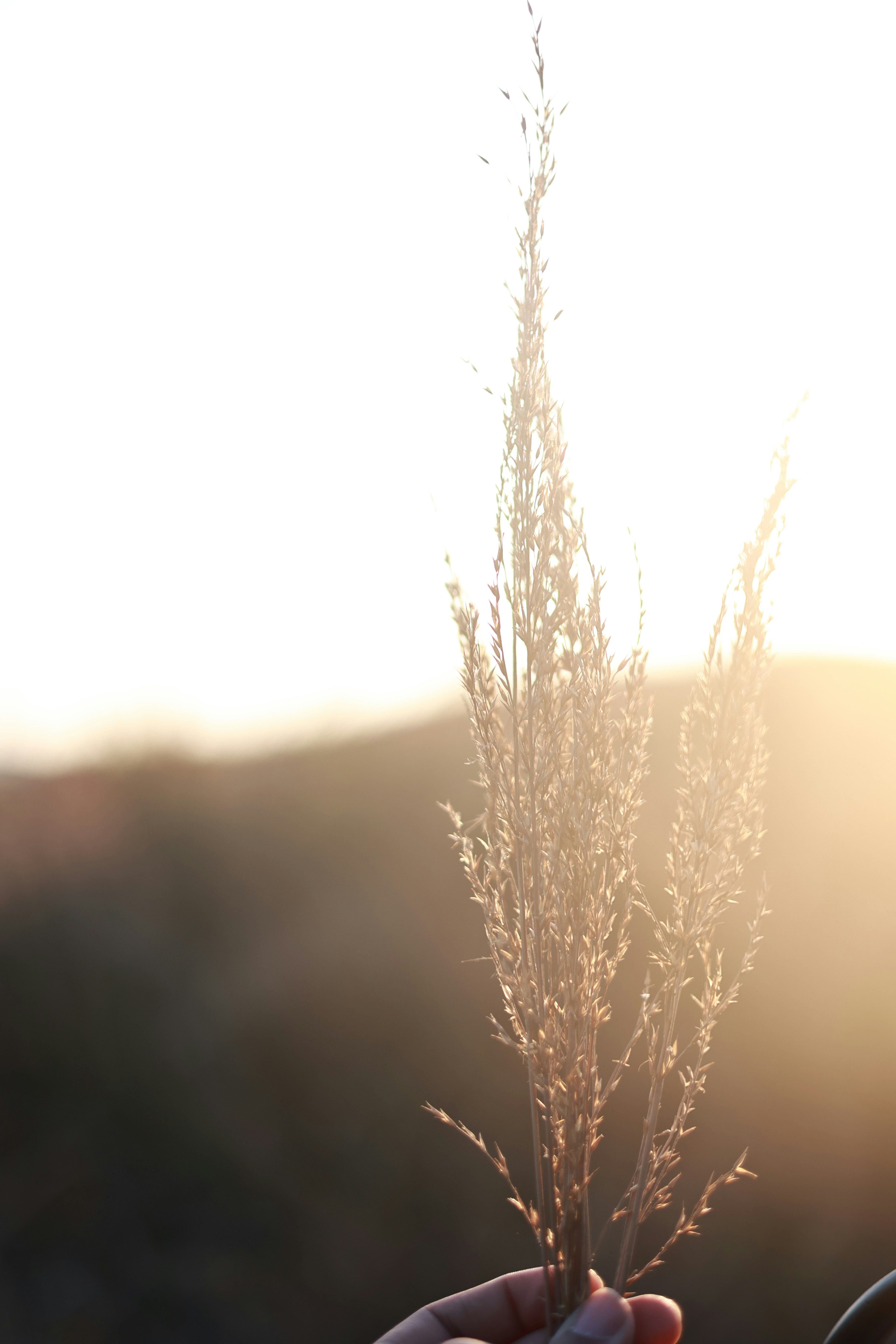 Photo by photo_baaz__