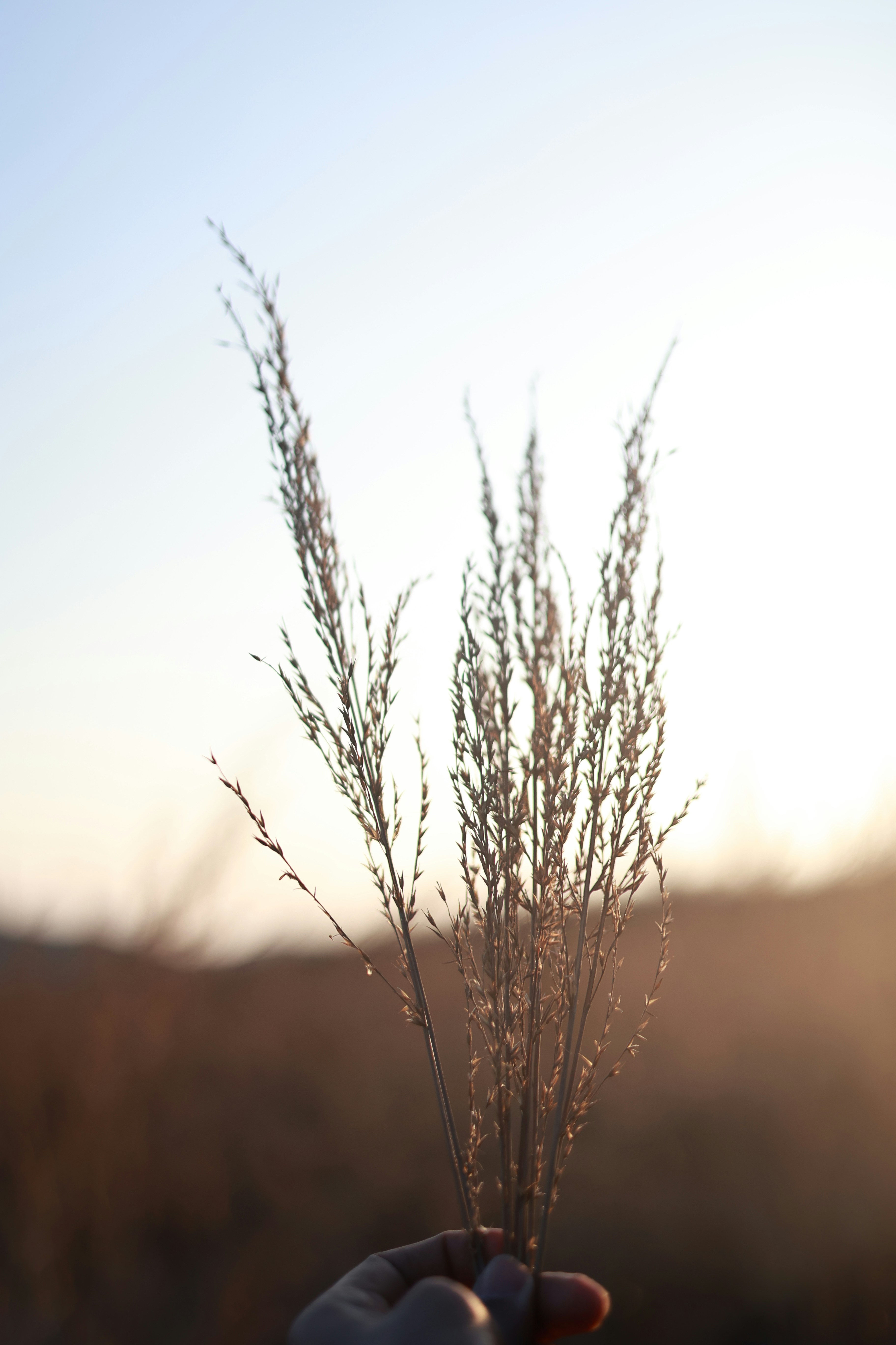 Photo by photo_baaz__