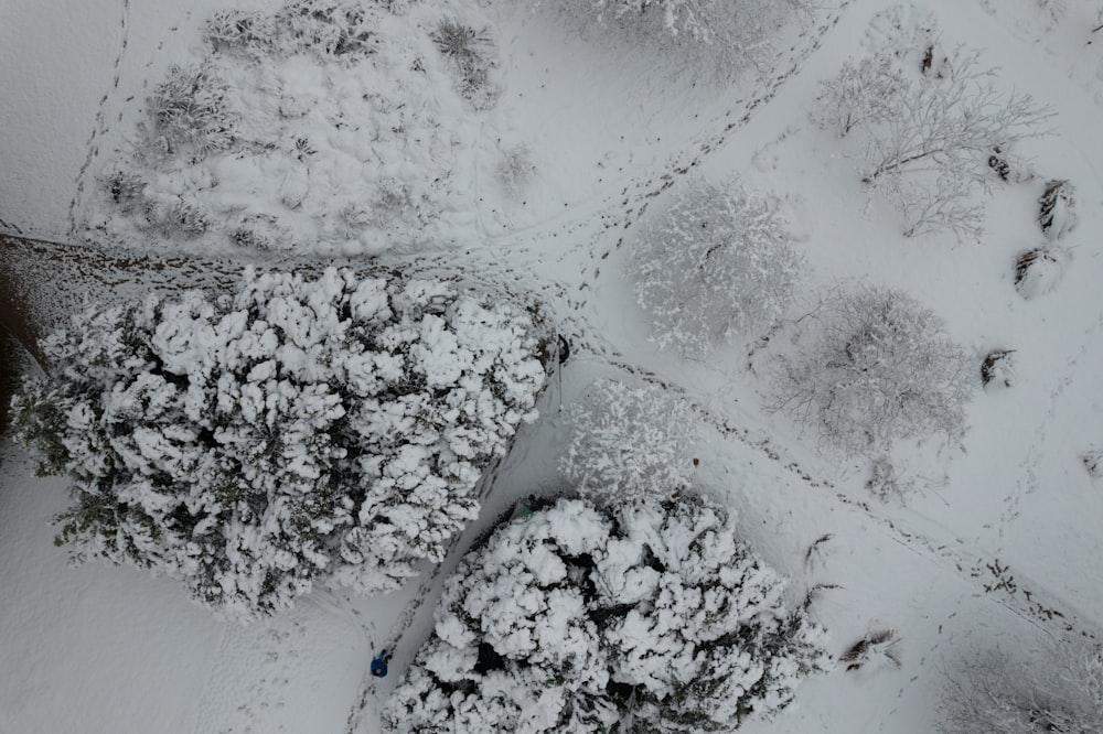 an aerial view of a snow covered forest