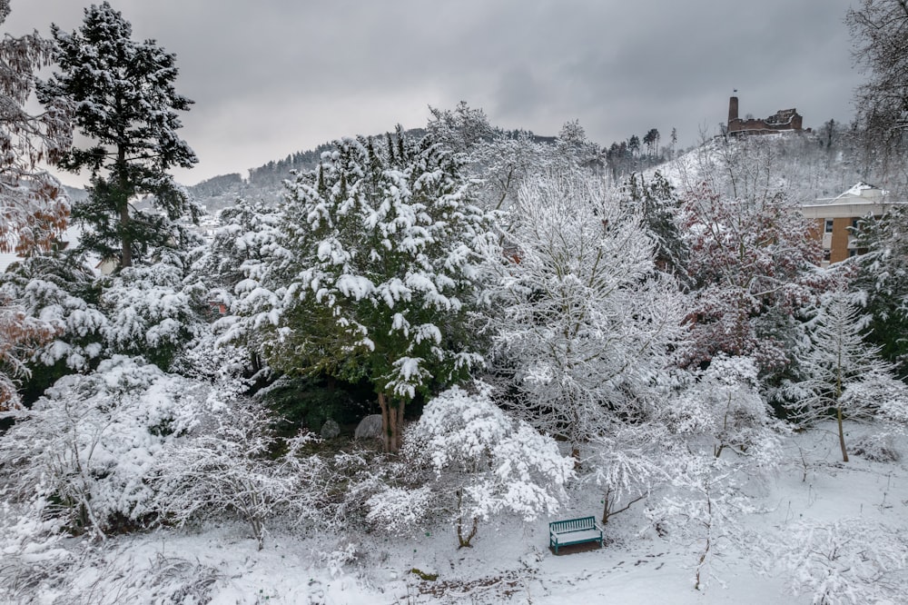 a bench in the middle of a snowy forest