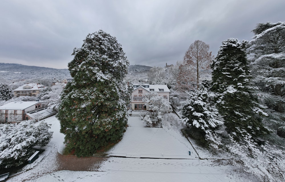 a snow covered yard with trees and houses in the background